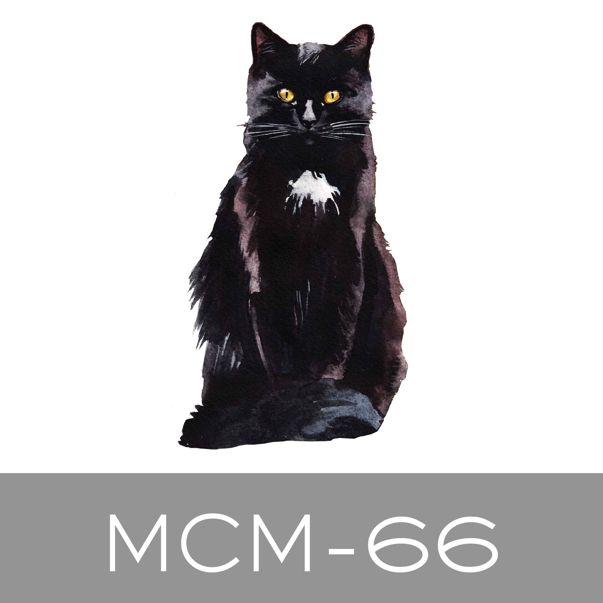 MCM-66.jpg