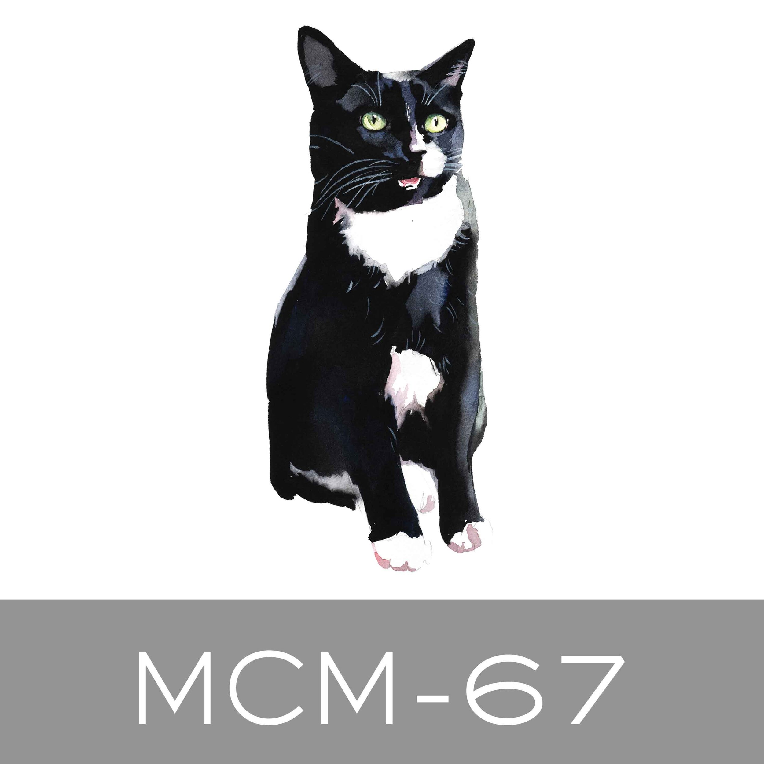 MCM-67.jpg