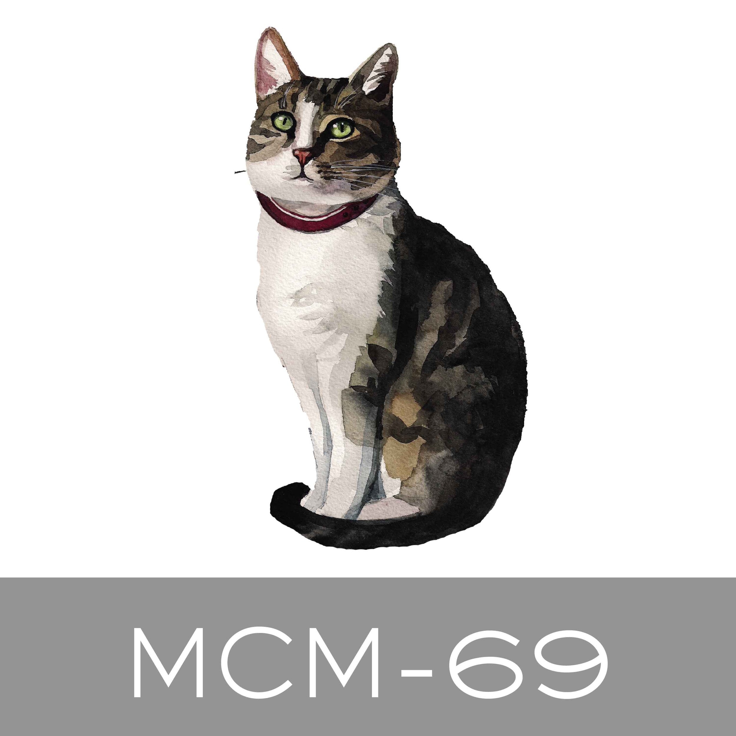 MCM-69.jpg