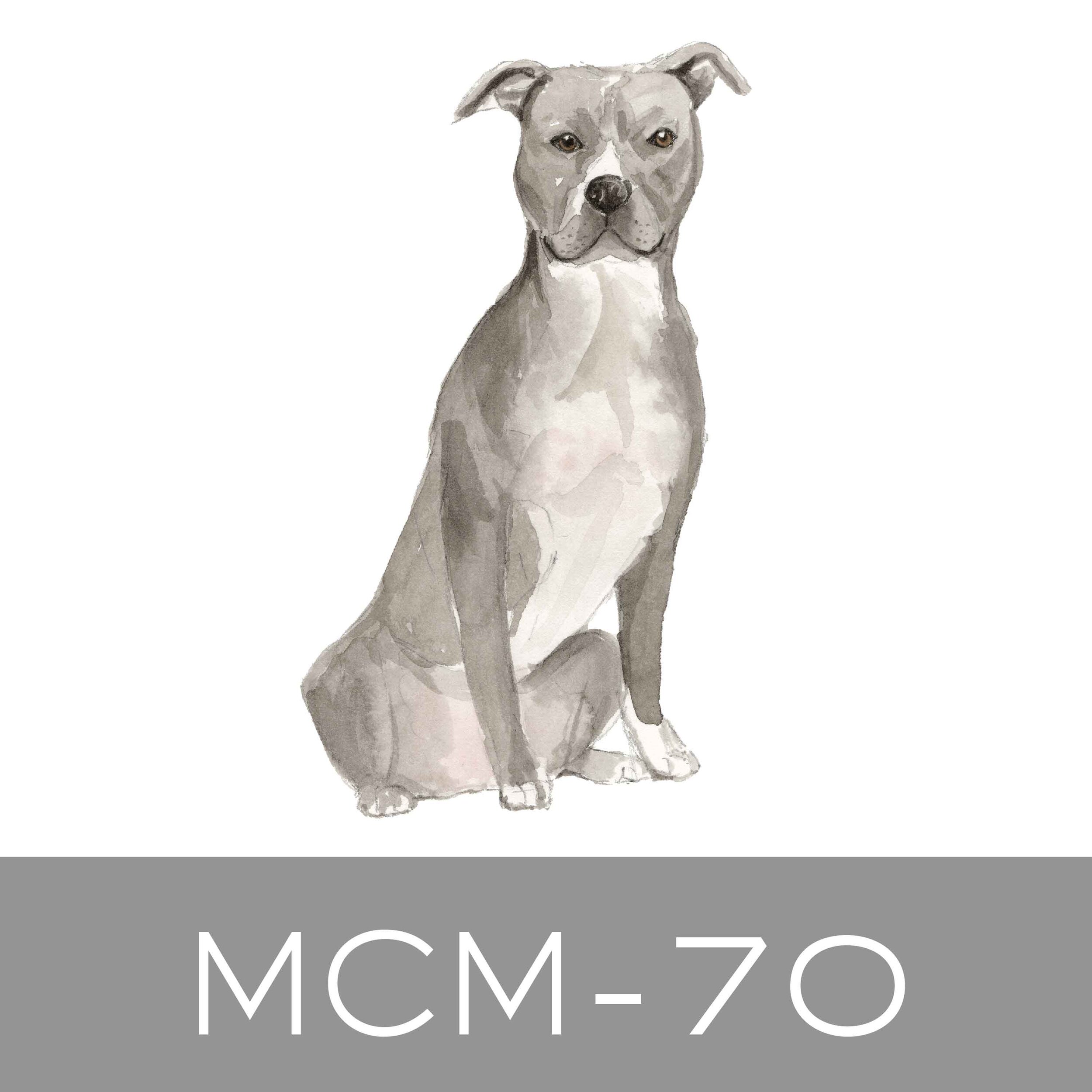 MCM-70.jpg