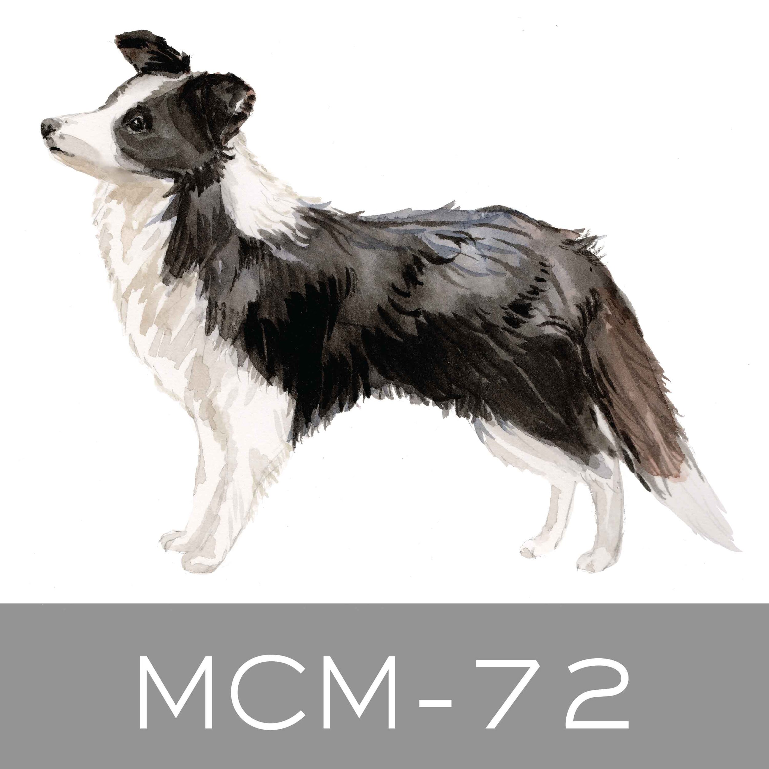 MCM-72.jpg
