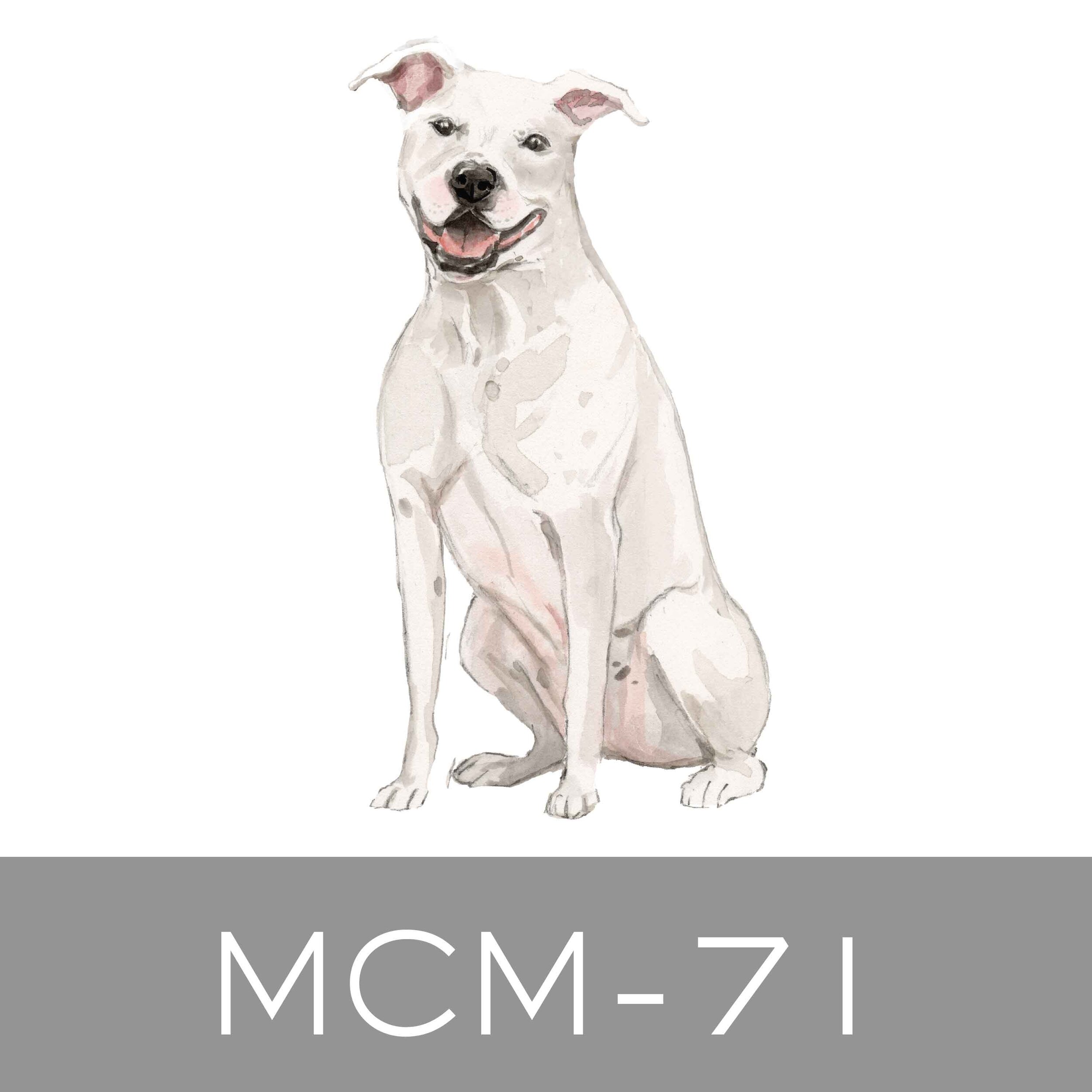 MCM-71.jpg