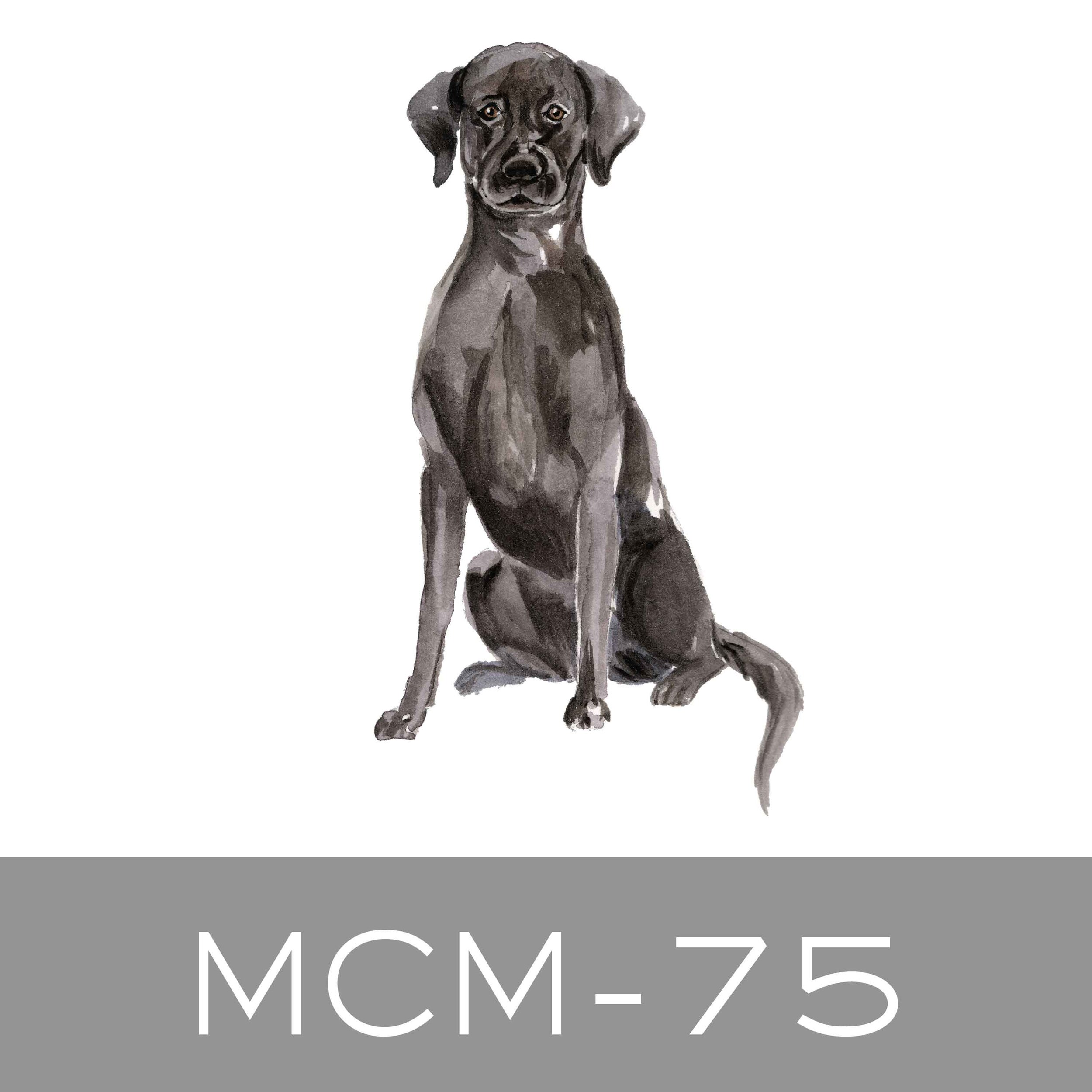 MCM-75.jpg