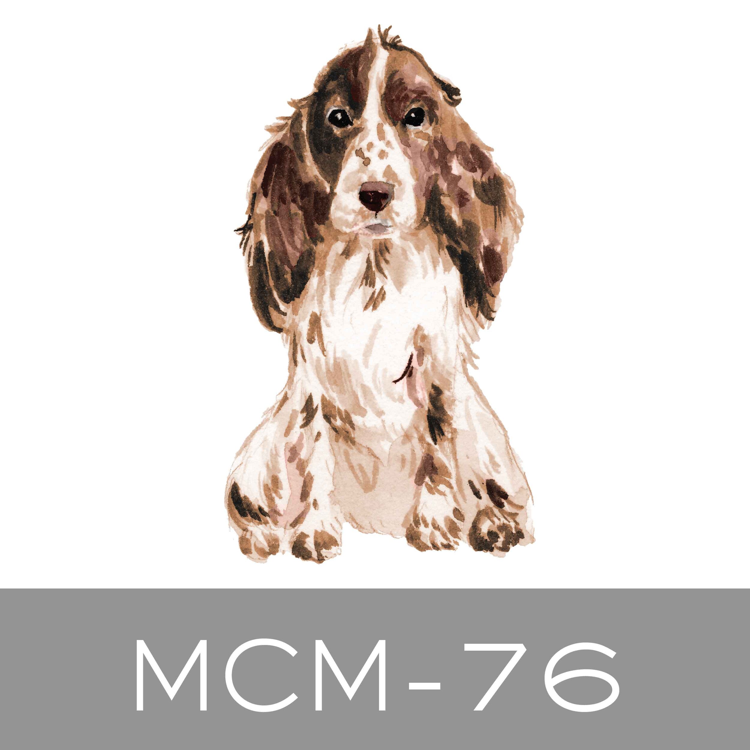 MCM-76.jpg