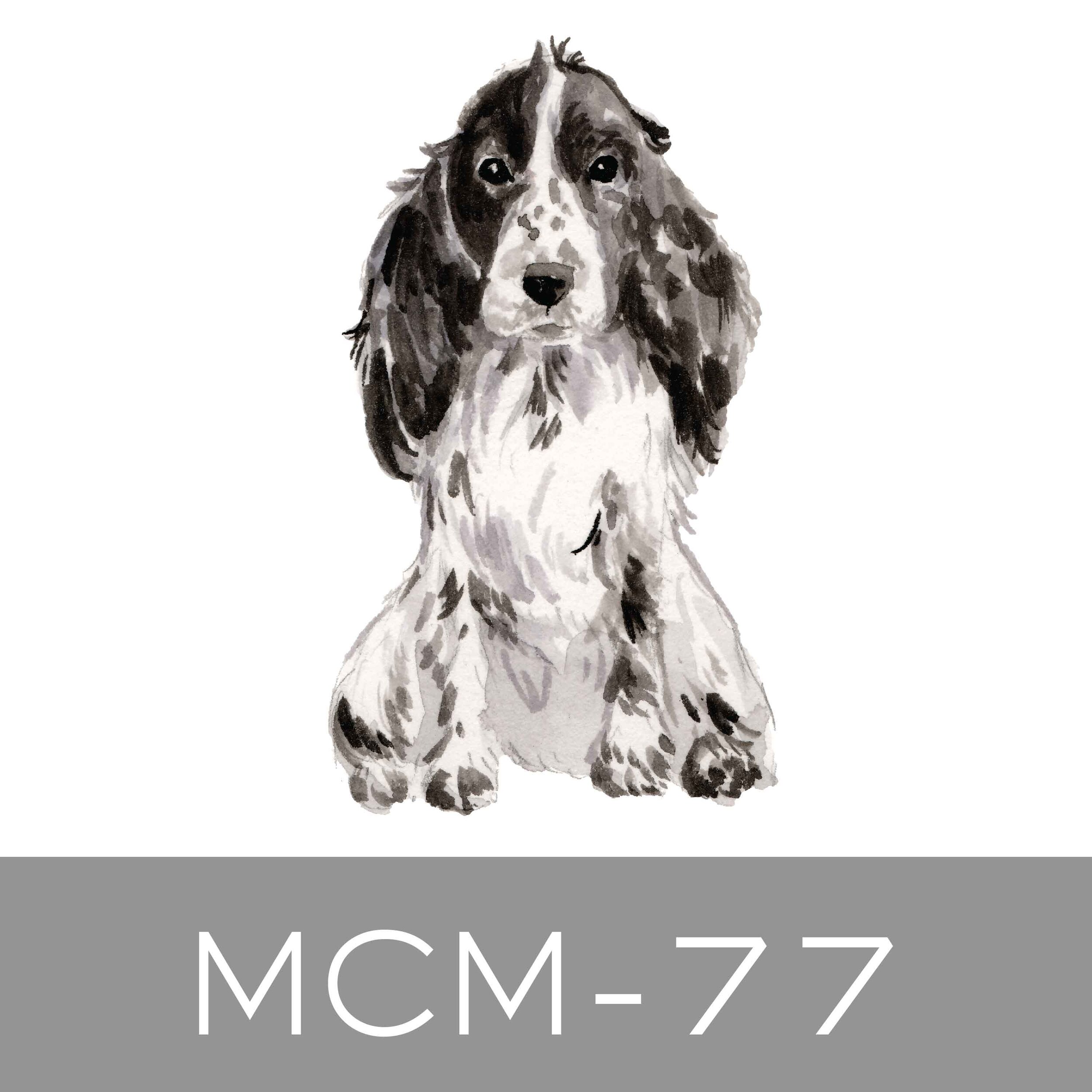MCM-77.jpg