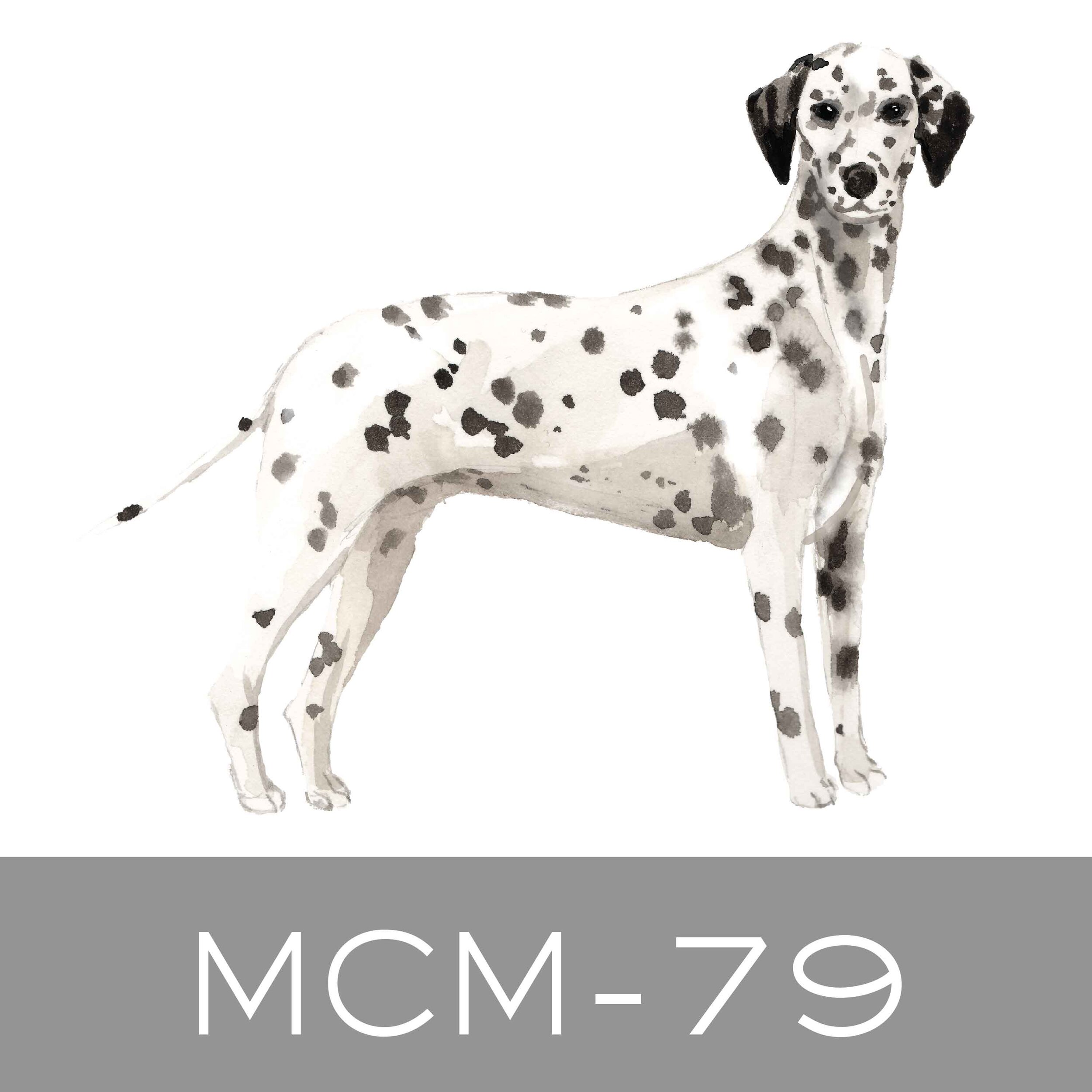 MCM-79.jpg