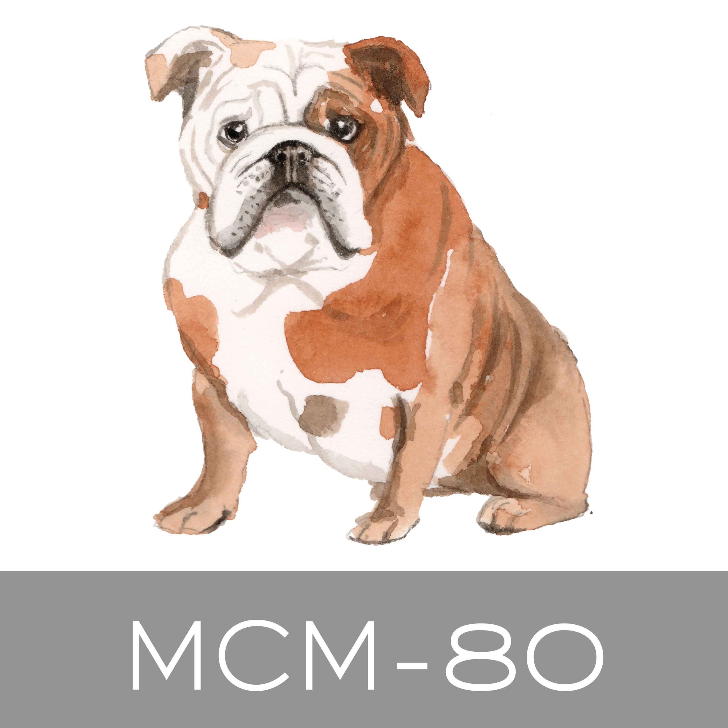 MCM-80.jpg