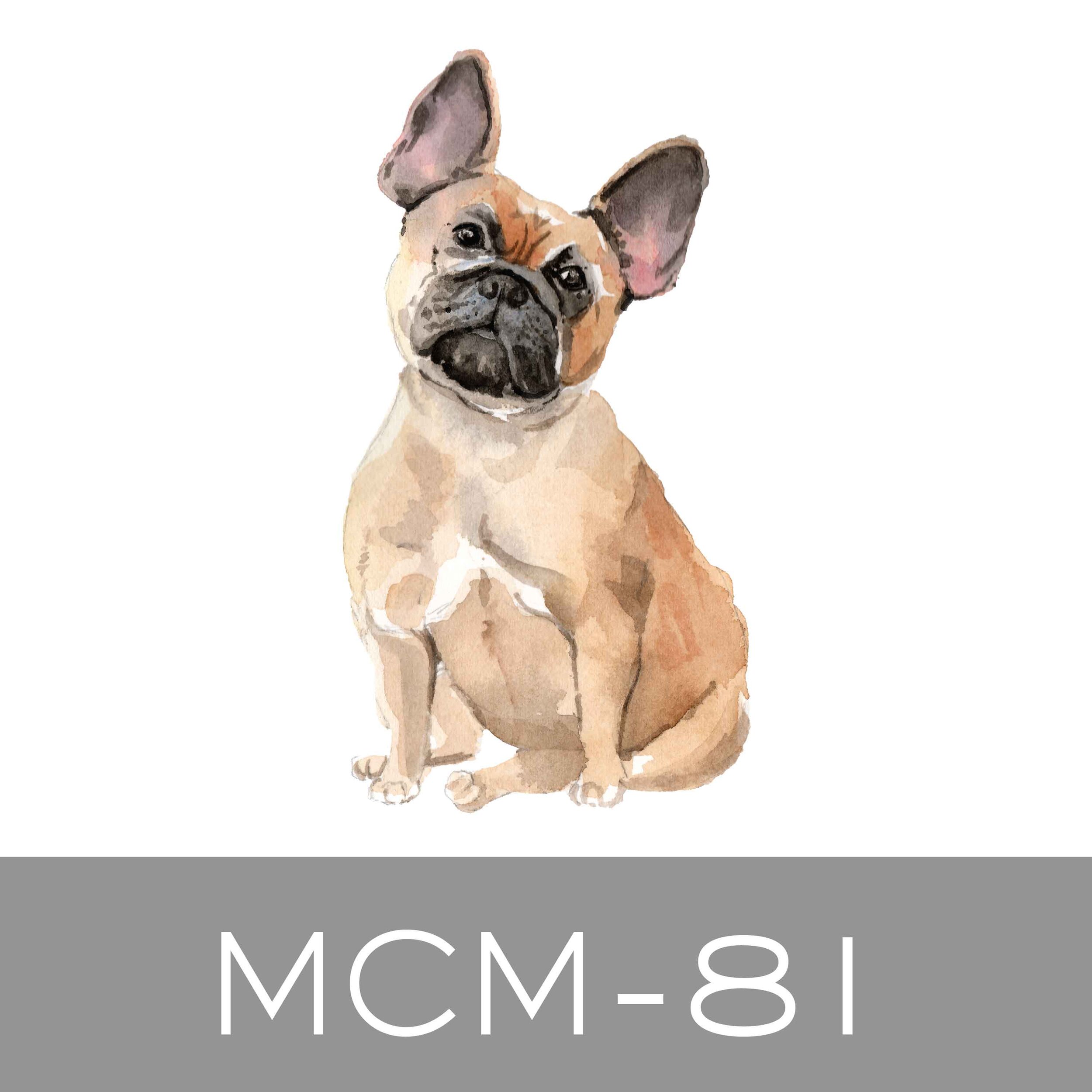 MCM-81.jpg