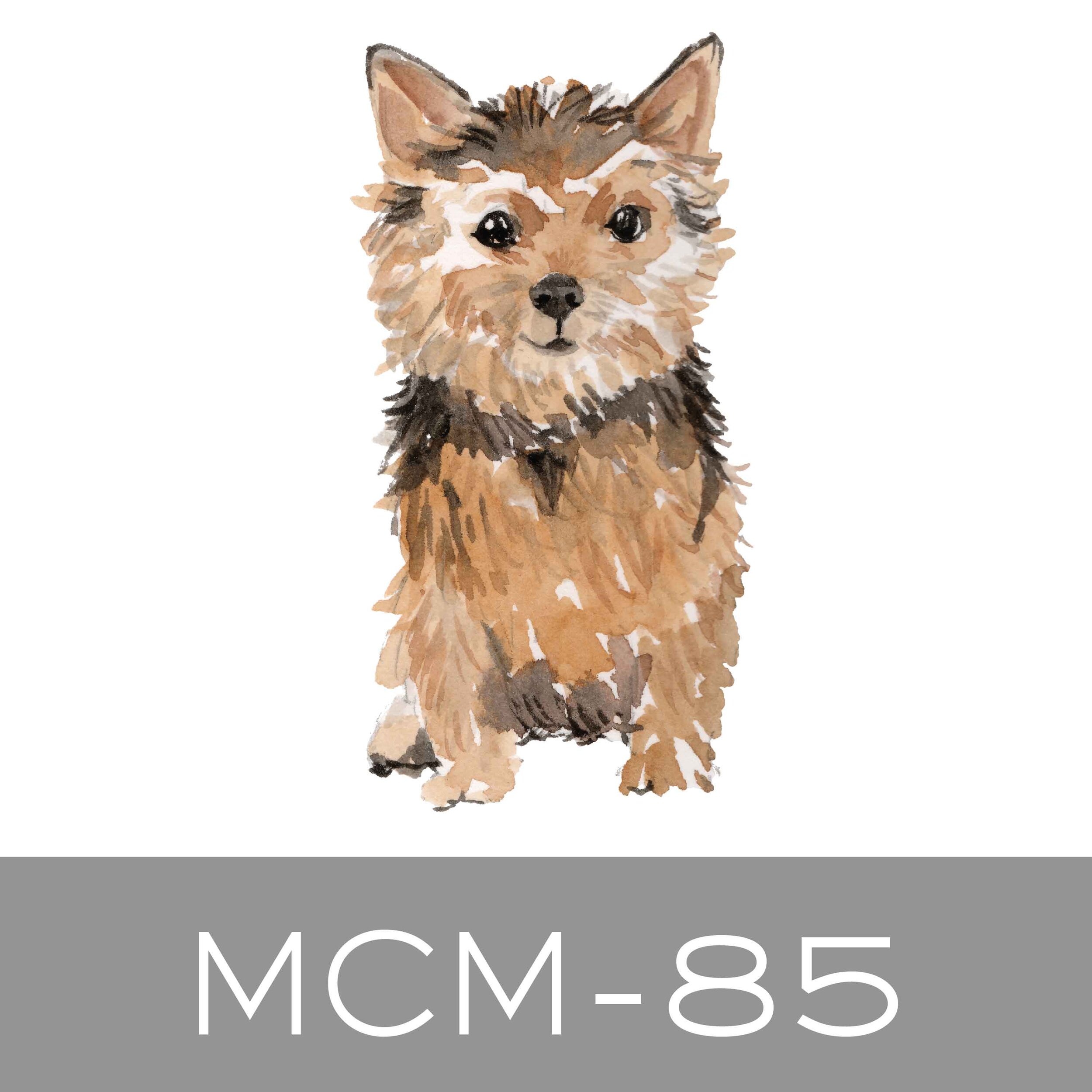 MCM-85.jpg