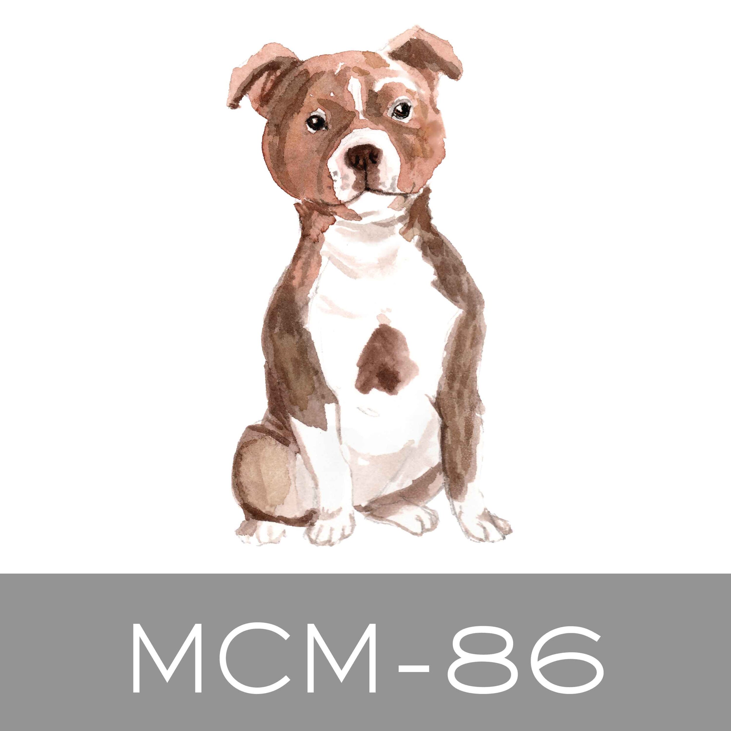 MCM-86.jpg