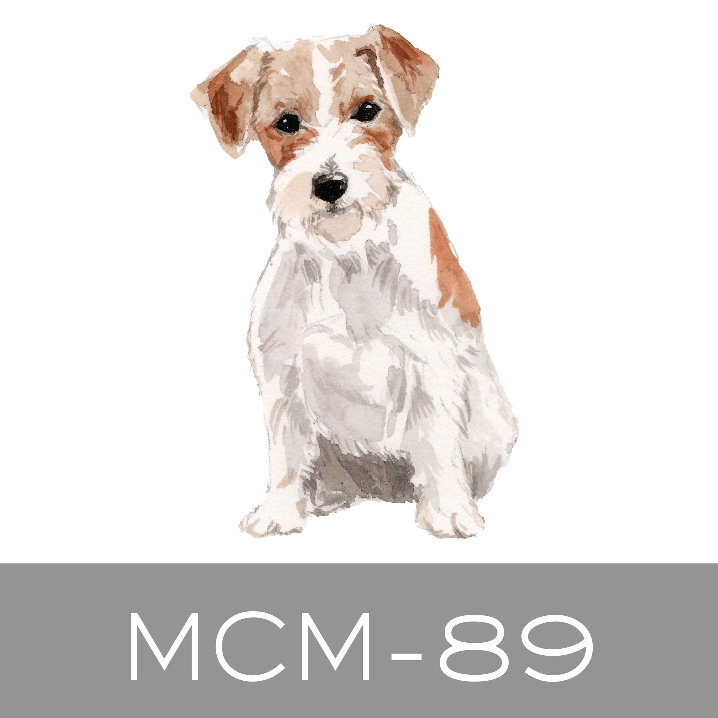 MCM-89.jpg