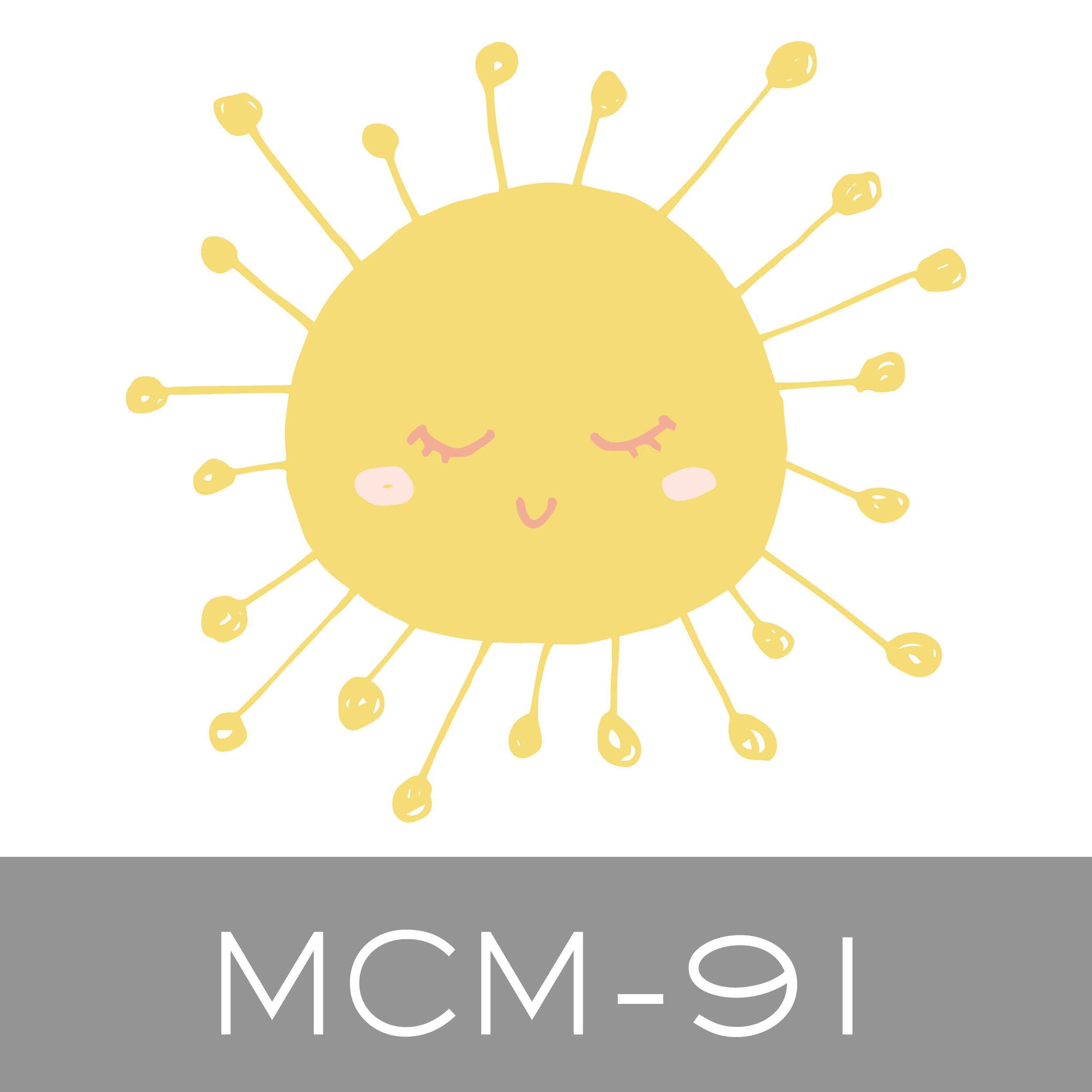 MCM-91.jpg