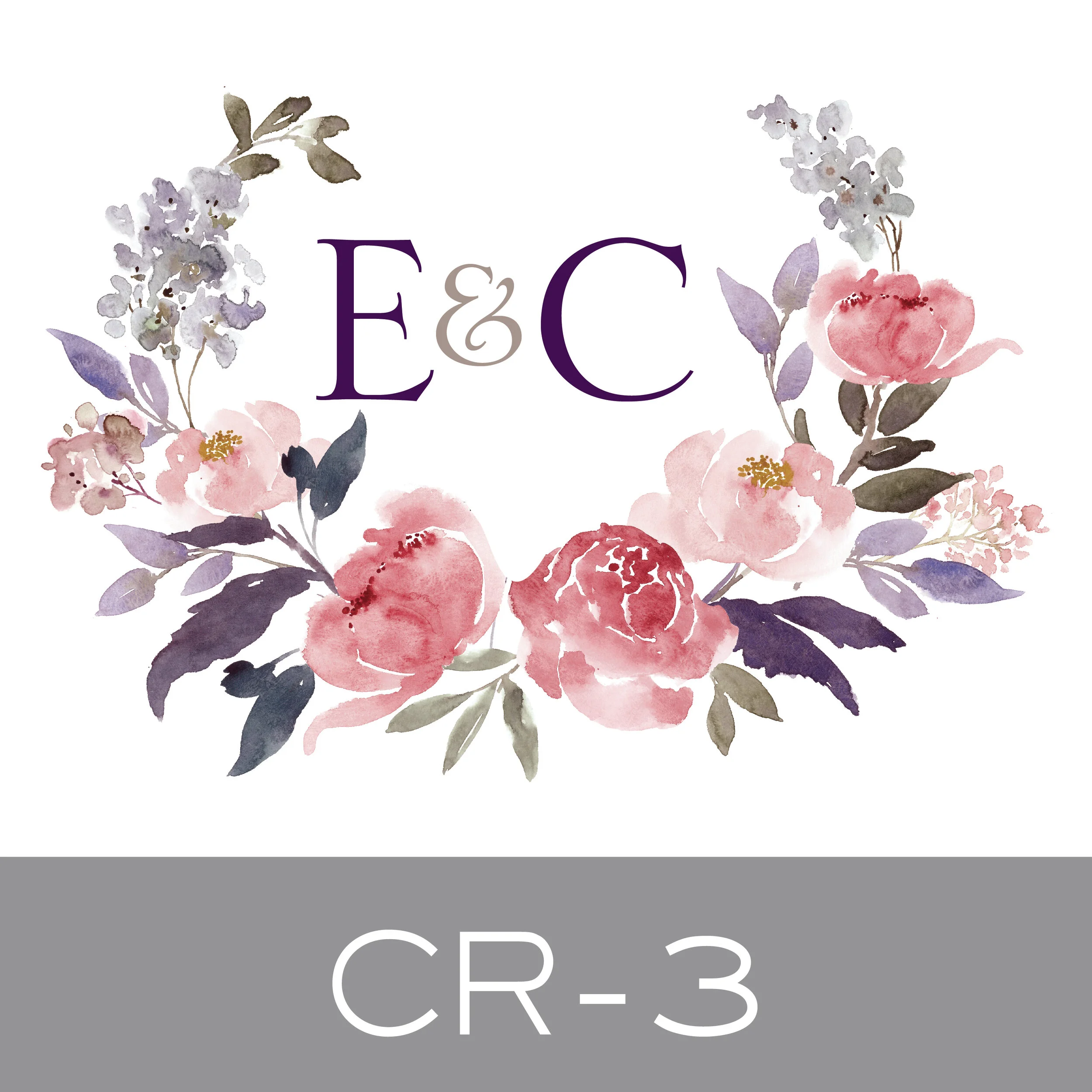 CR-3.jpg