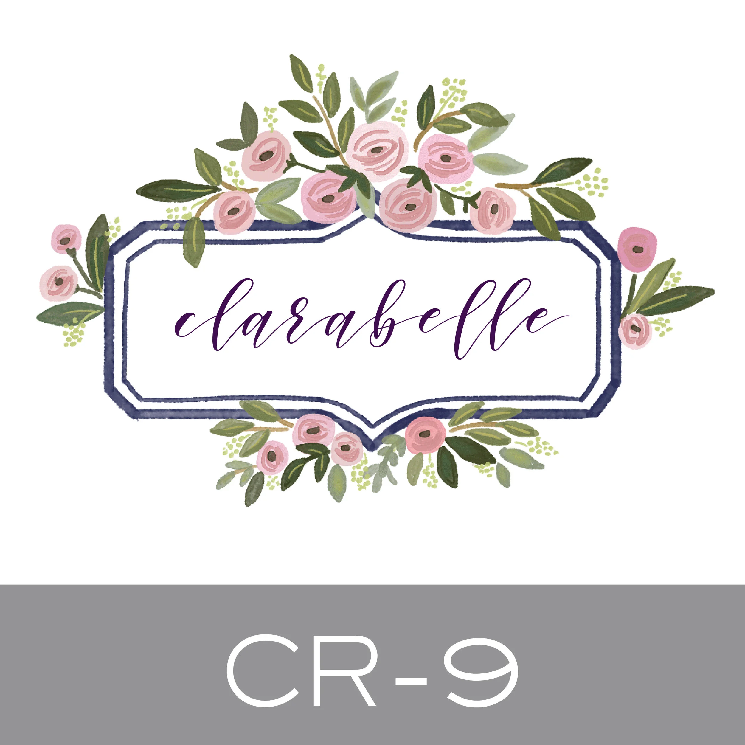 CR-9.jpg