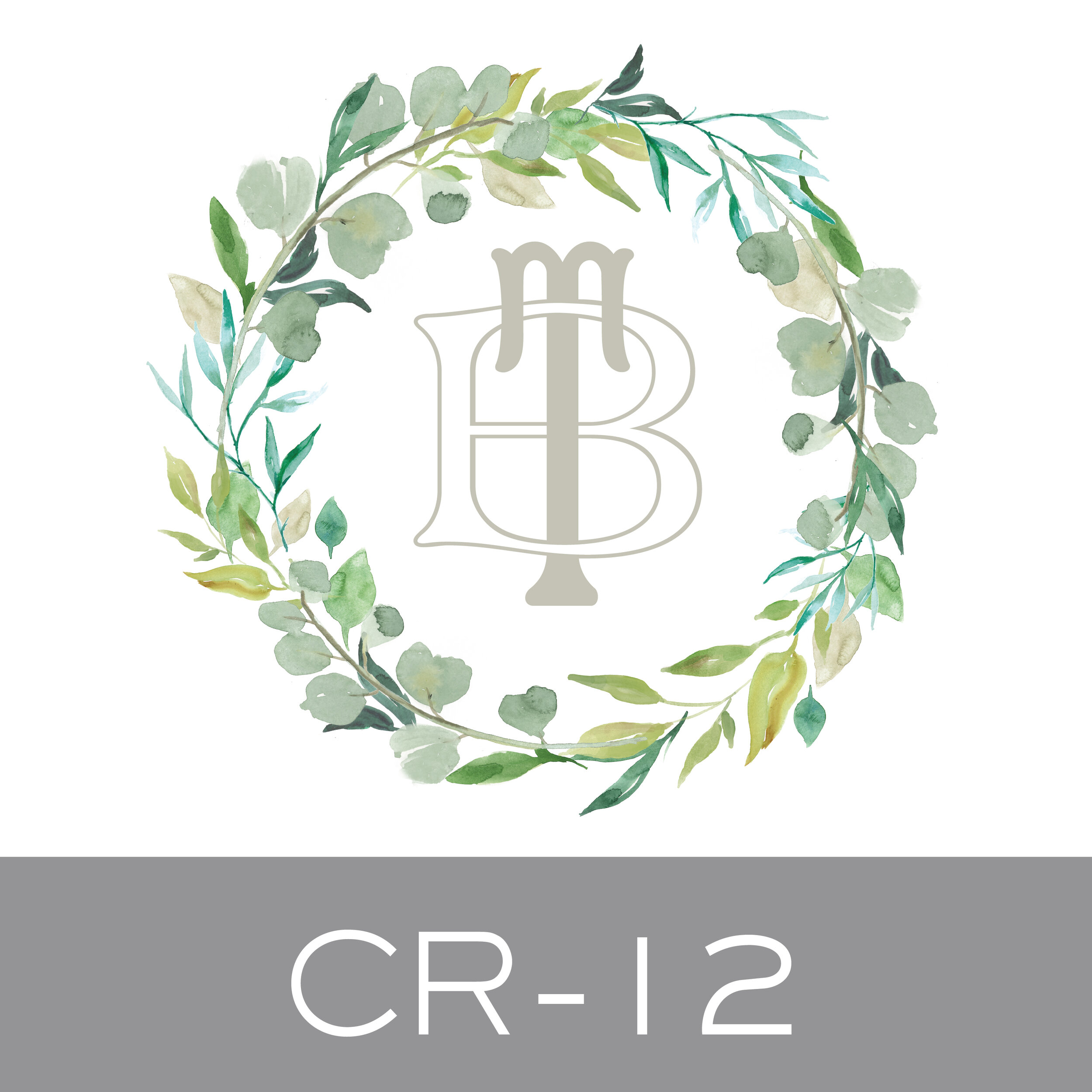 CR-12.jpg