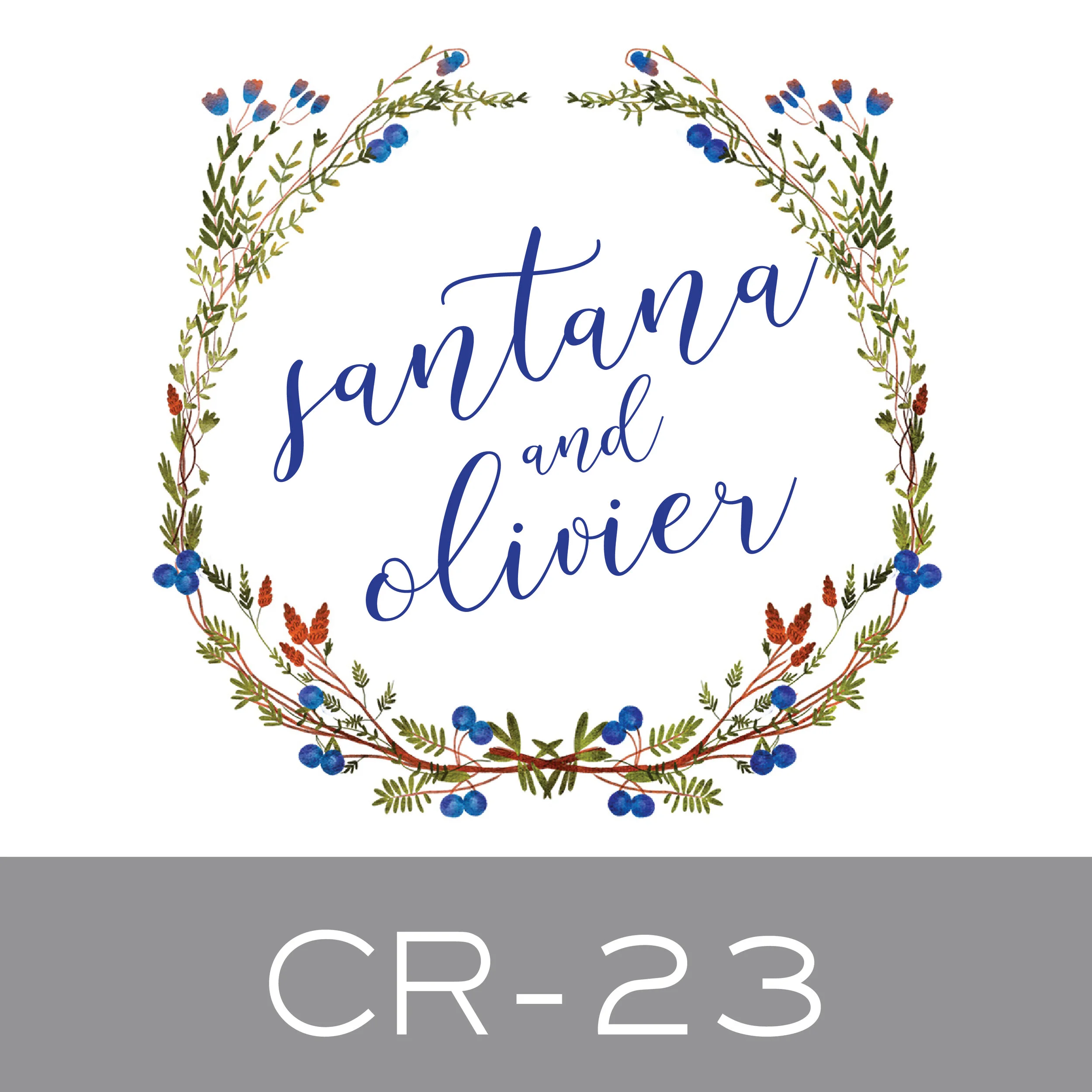 CR-23.jpg