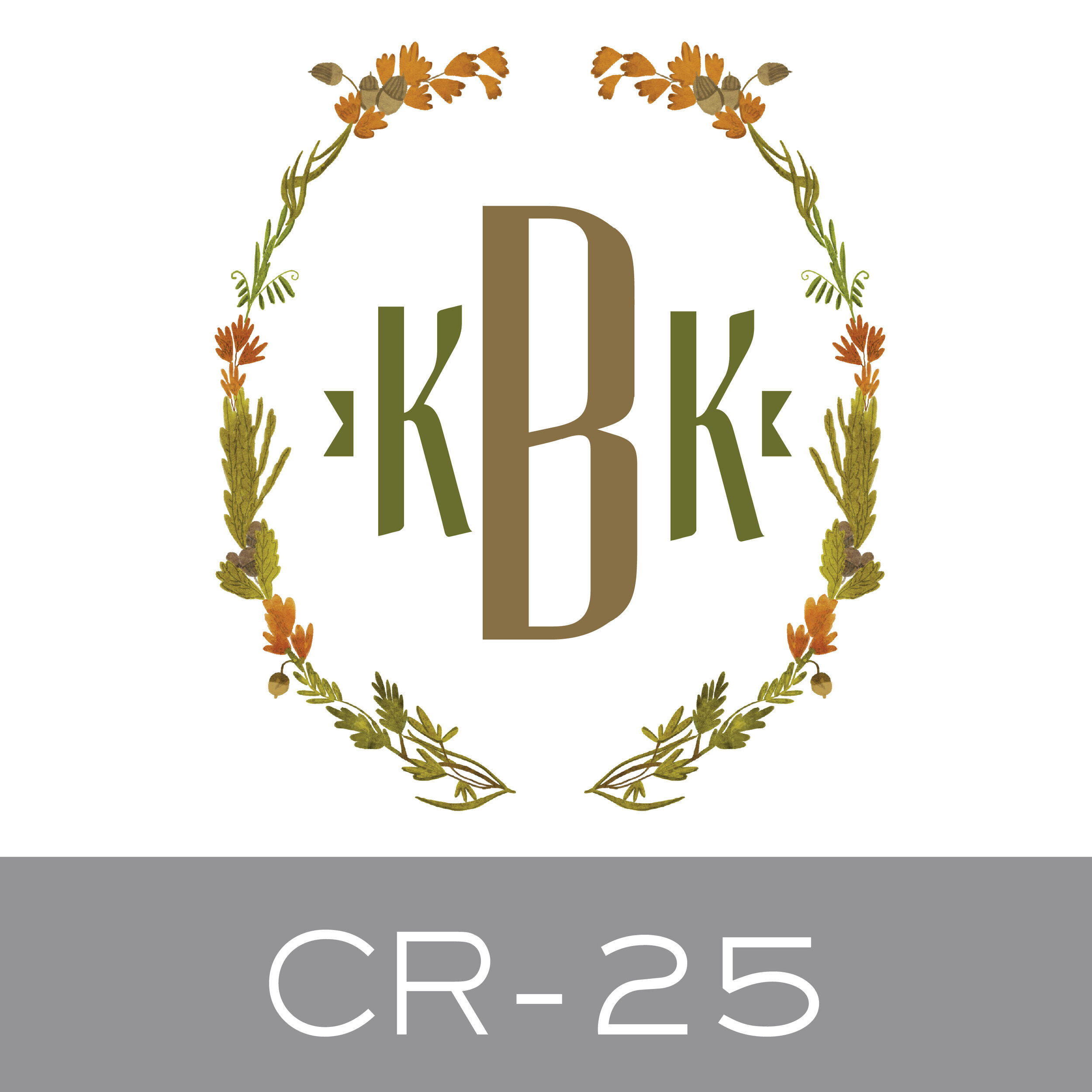 CR-25.jpg