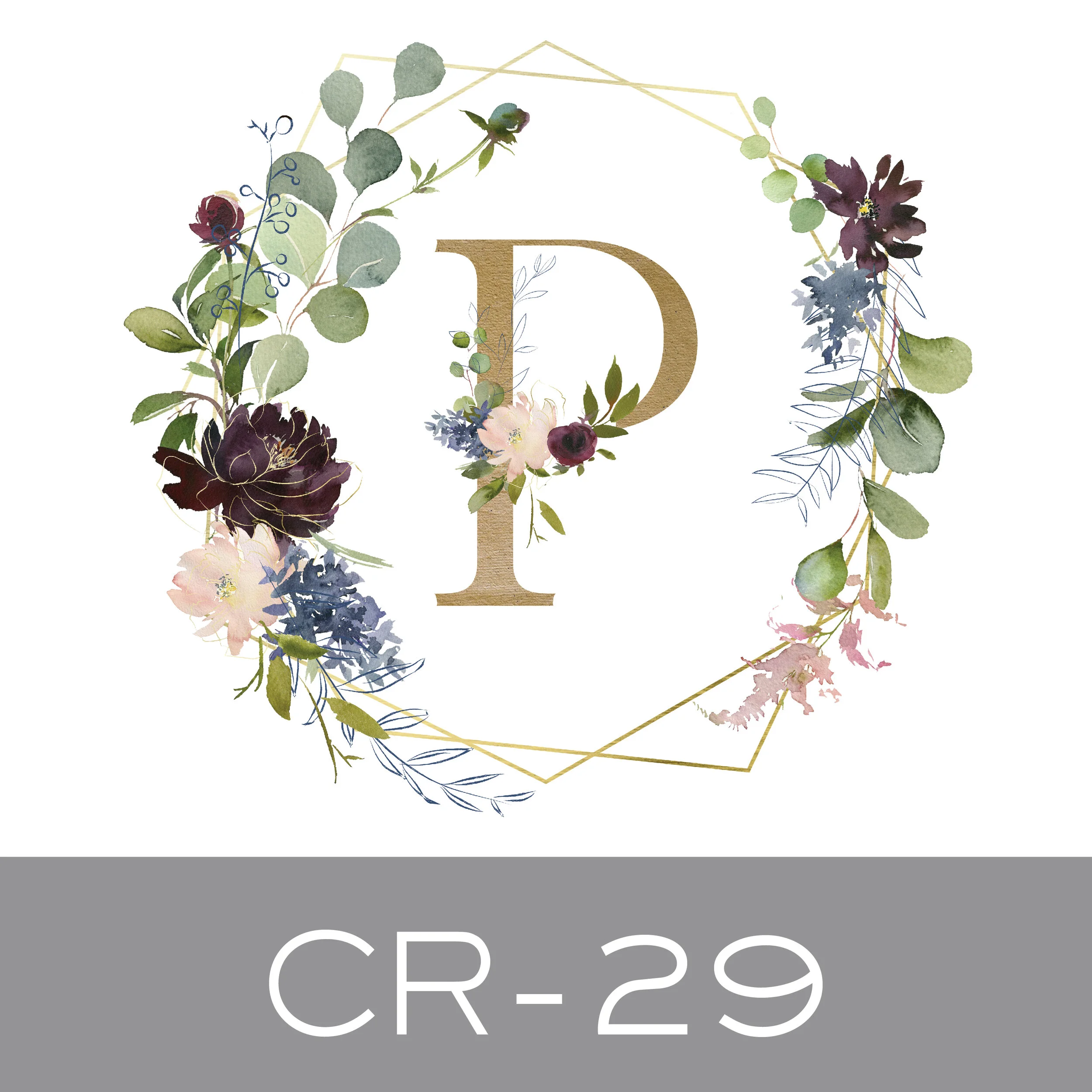 CR-29.jpg
