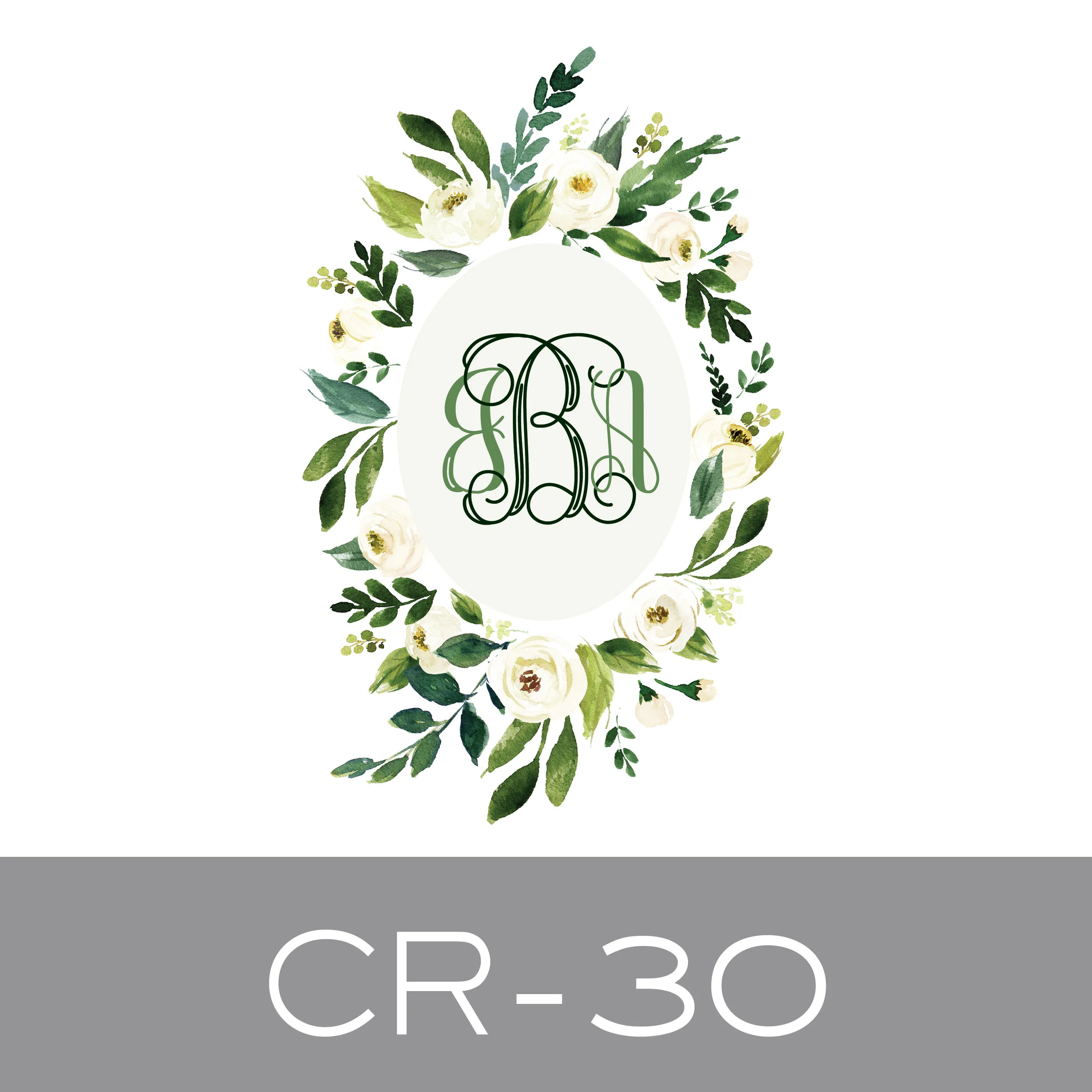 CR-30.jpg