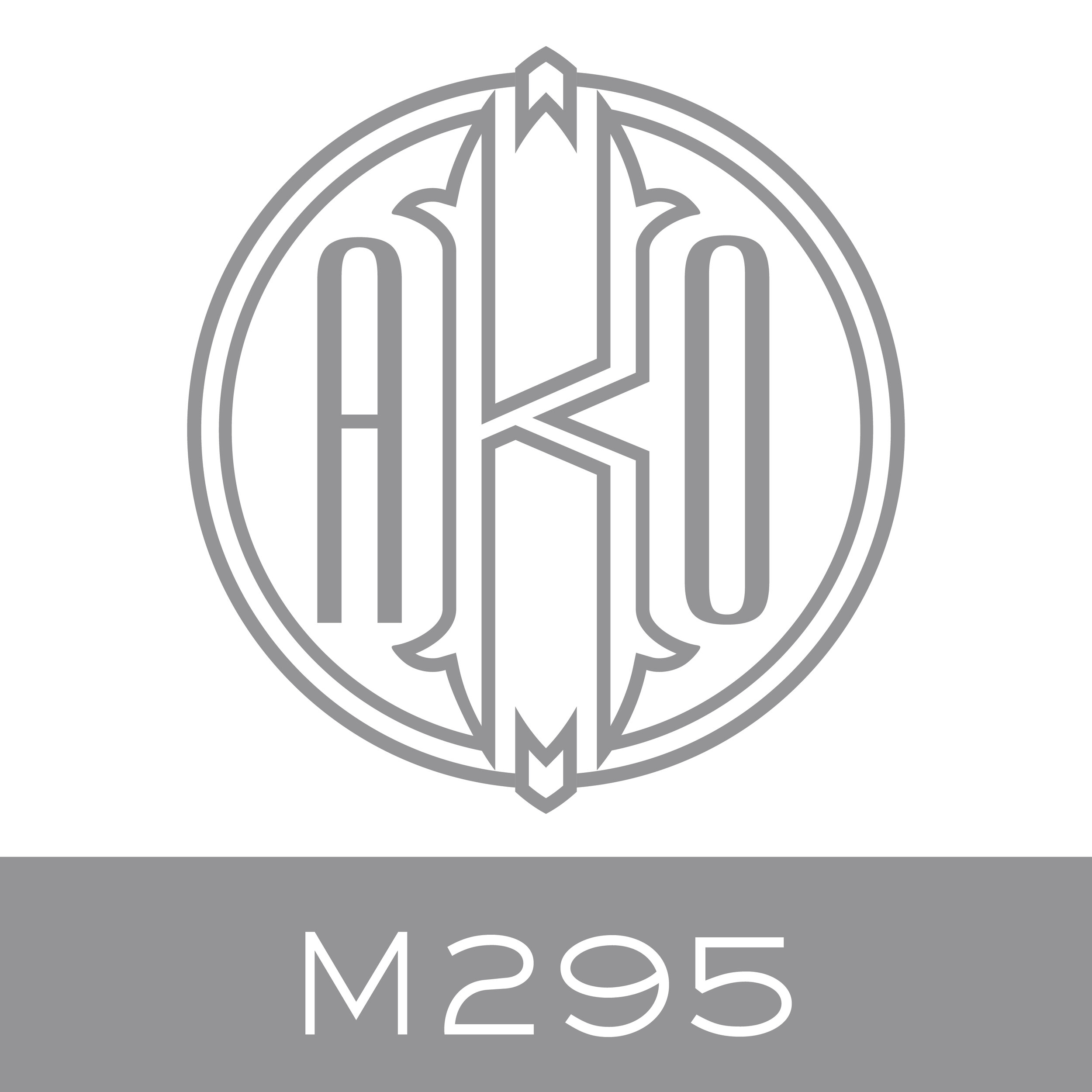 M295.jpg
