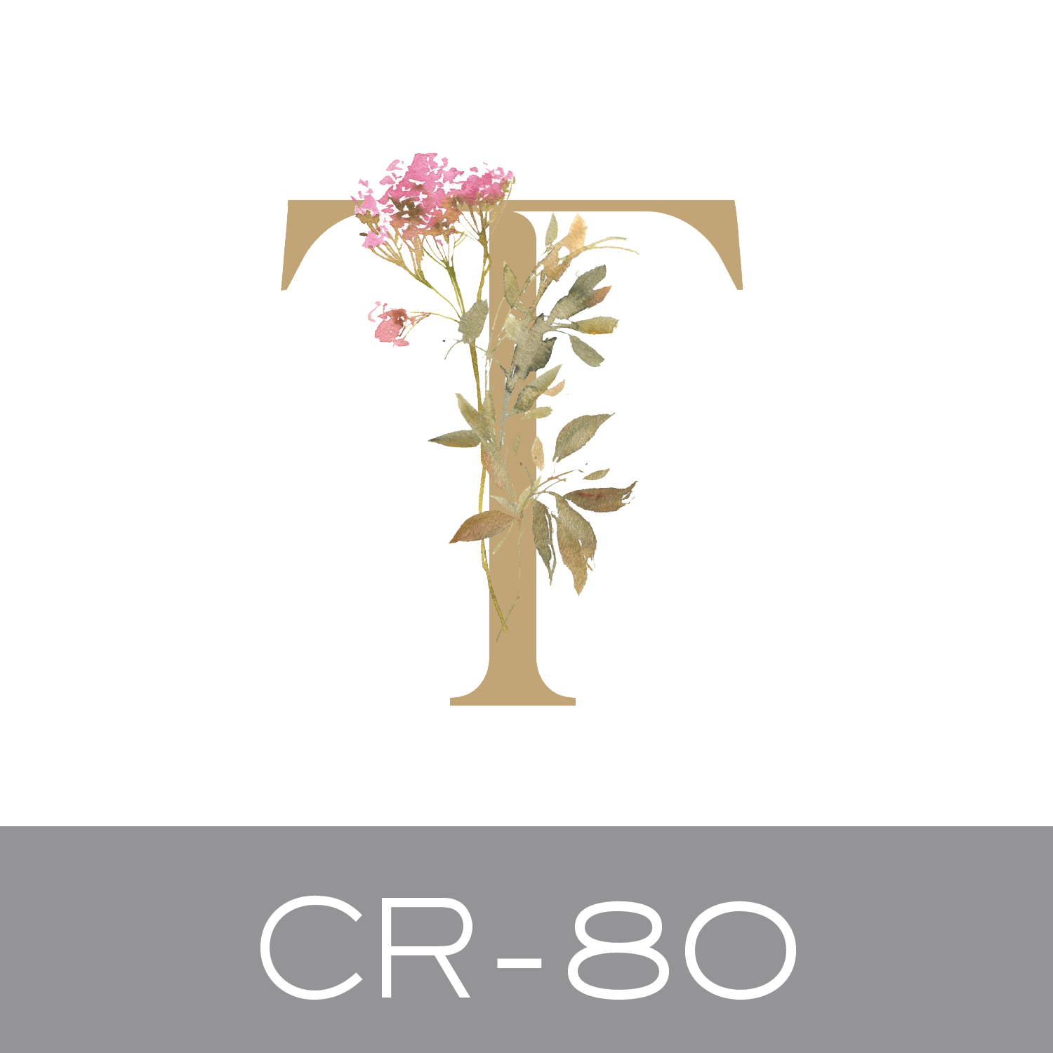 CR-80.png