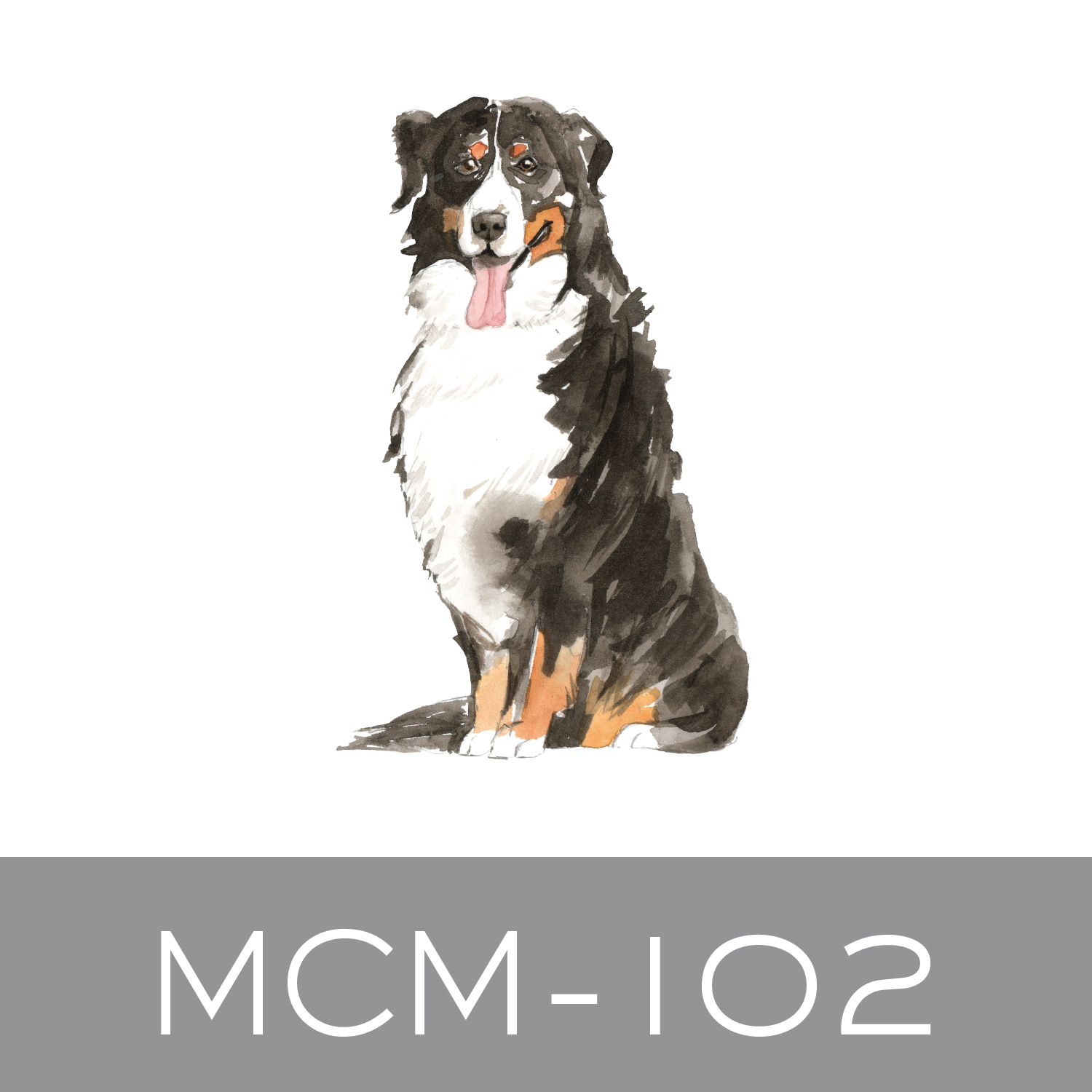 MCM-102.png