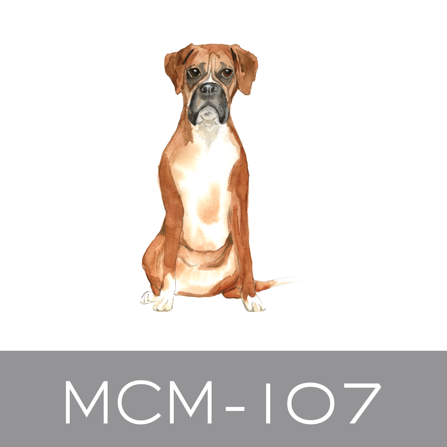 MCM-107.png