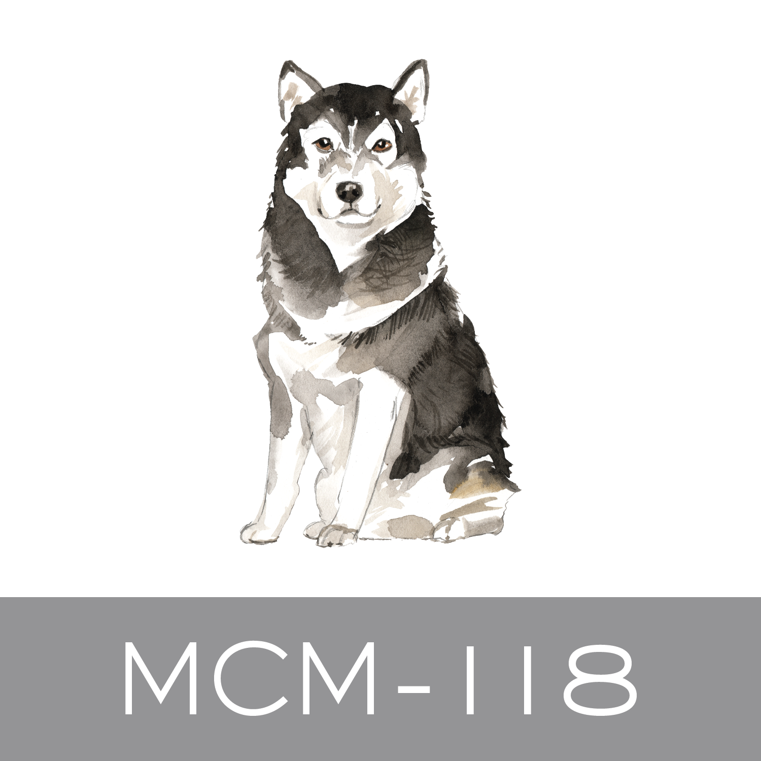 MCM-118.png