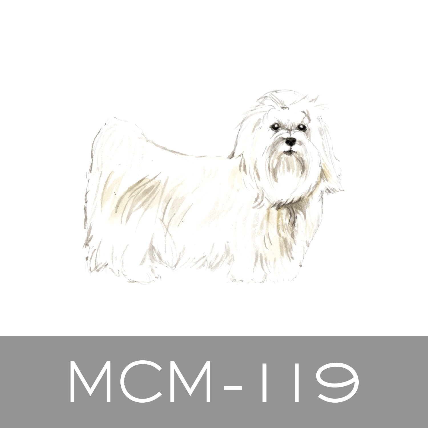 MCM-119.png