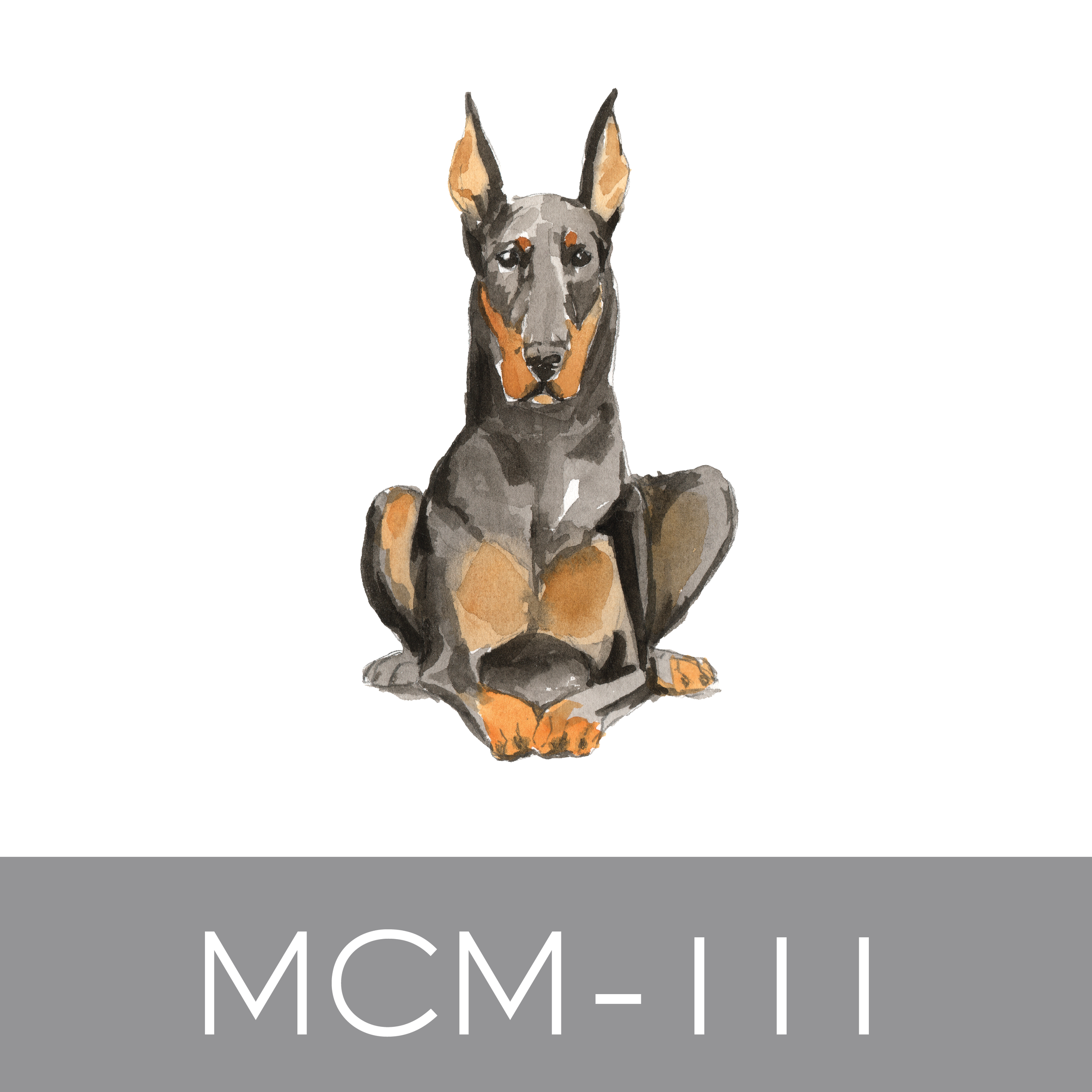 MCM-111.png
