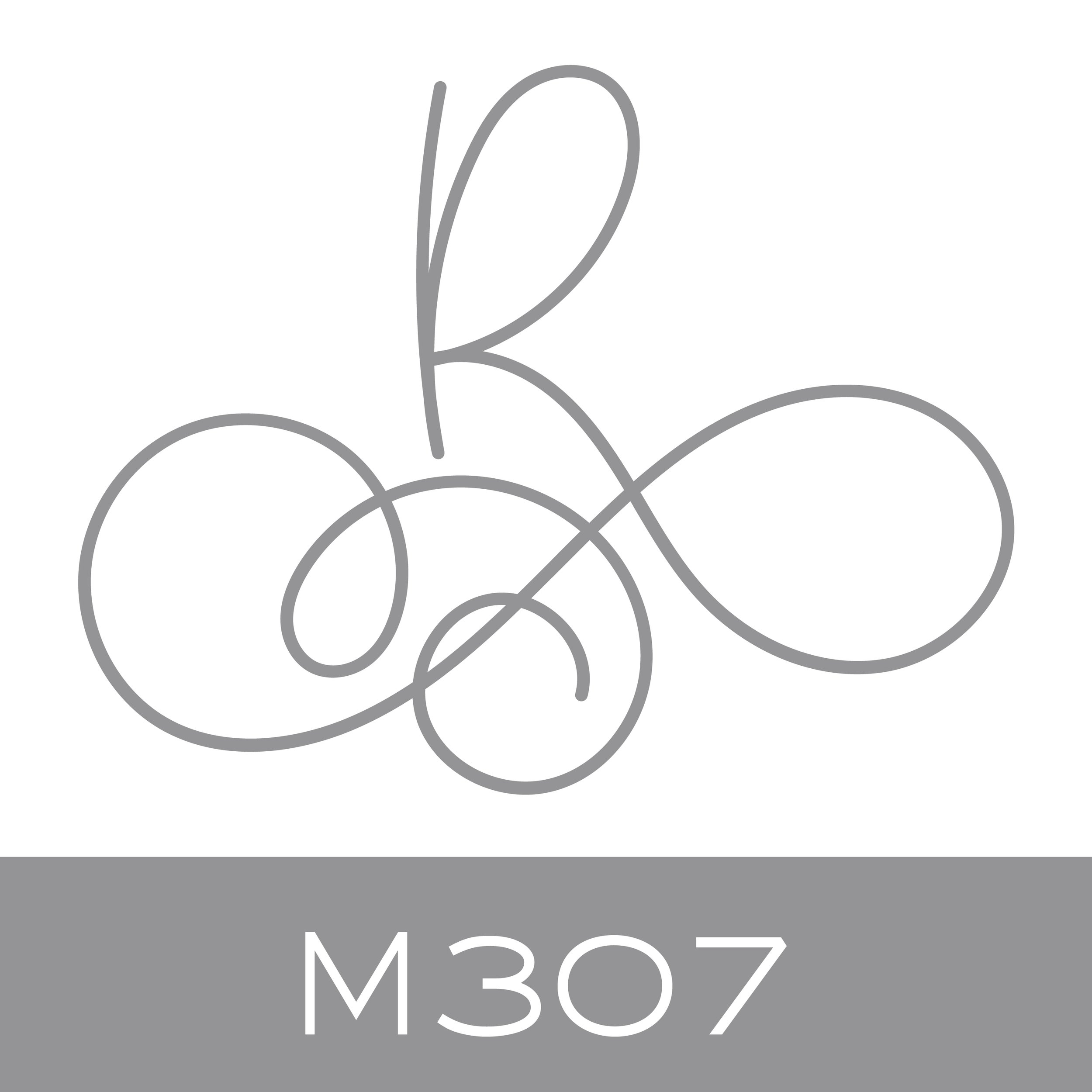 M307.jpg