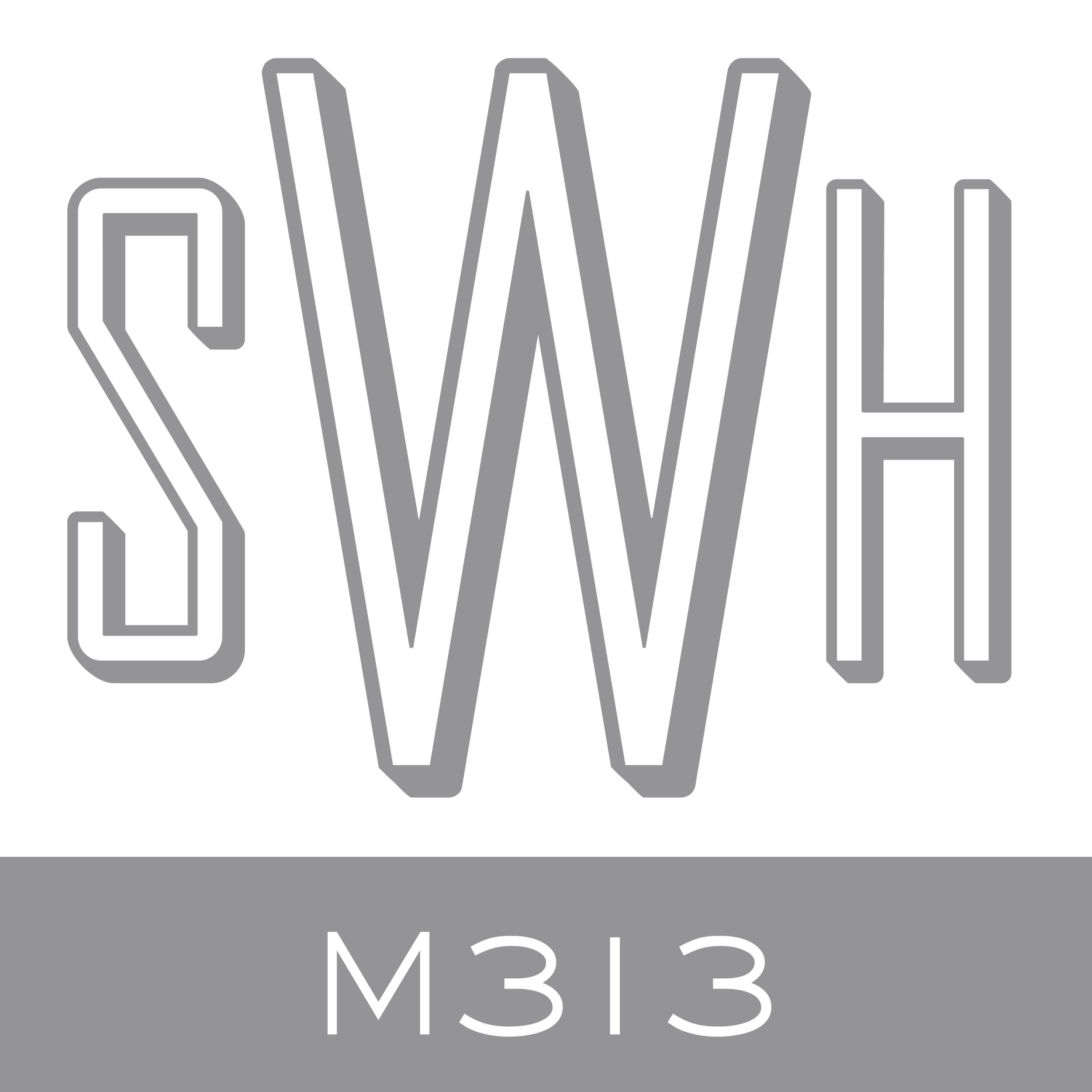 M313.jpg