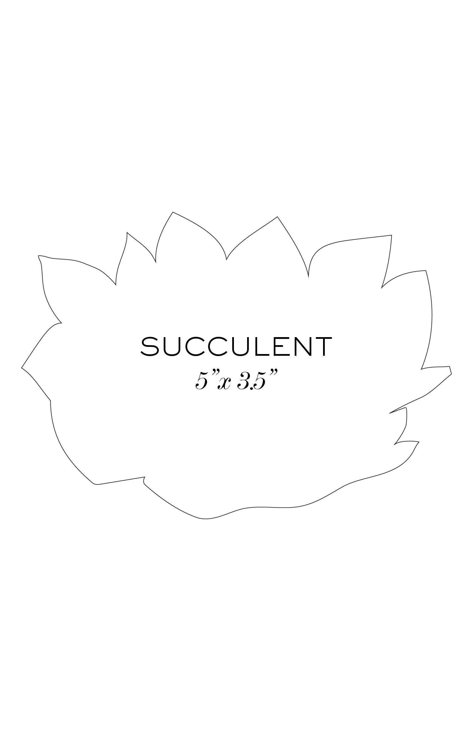 WEB_HautePapierDieCut_Succulent.jpg
