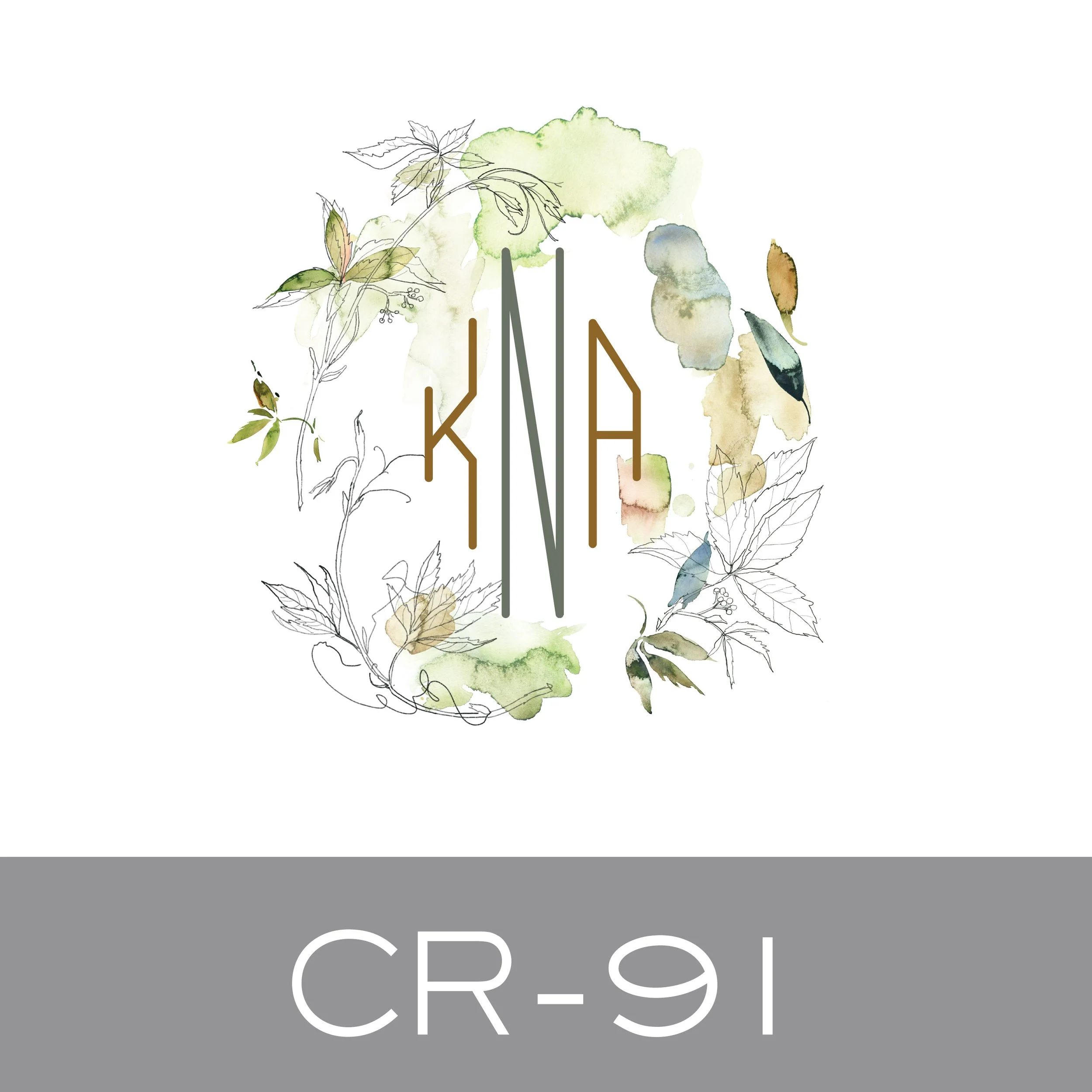 CR-91.jpg