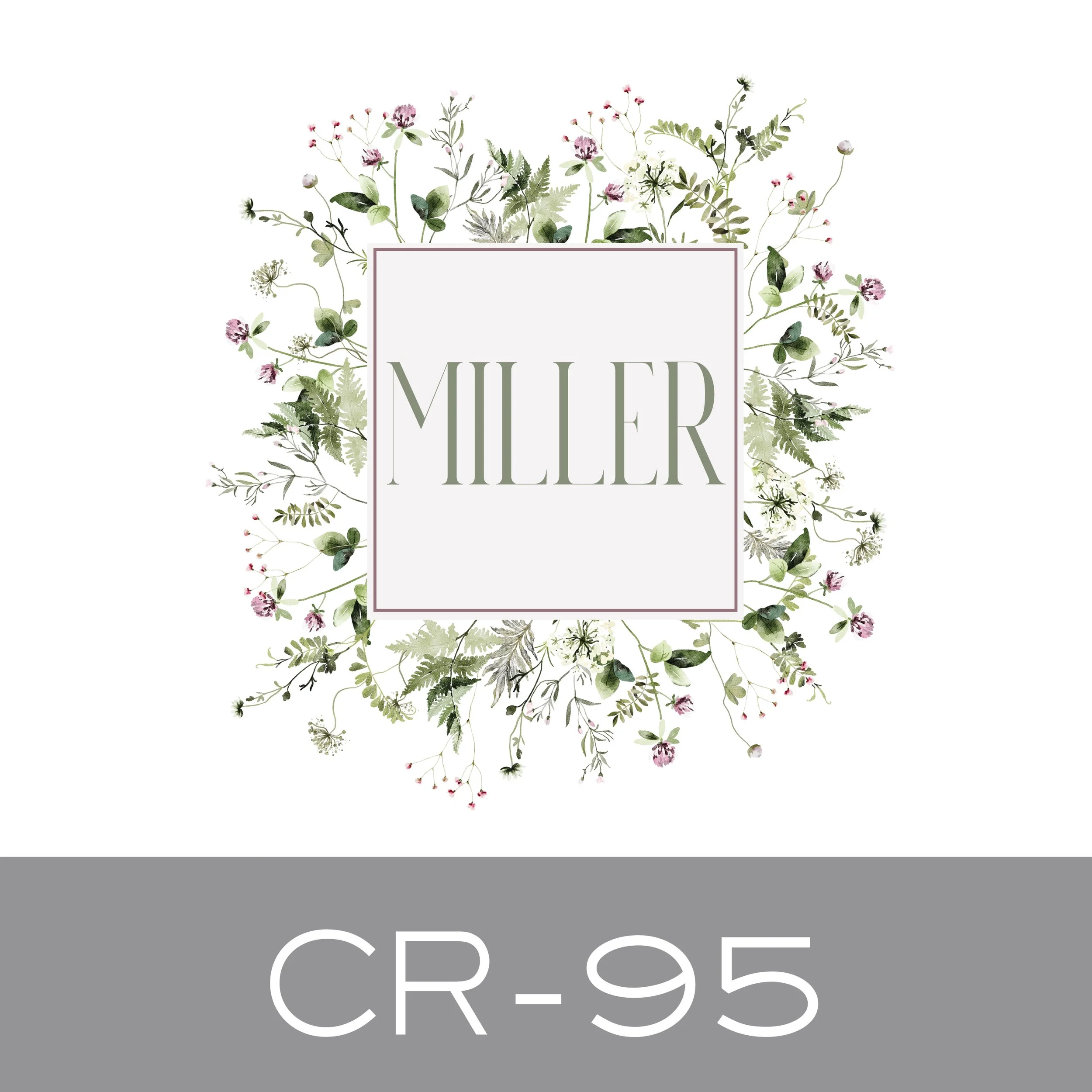 CR-95.jpg