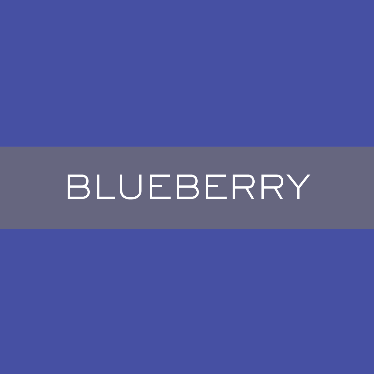 INK_Blueberry.png