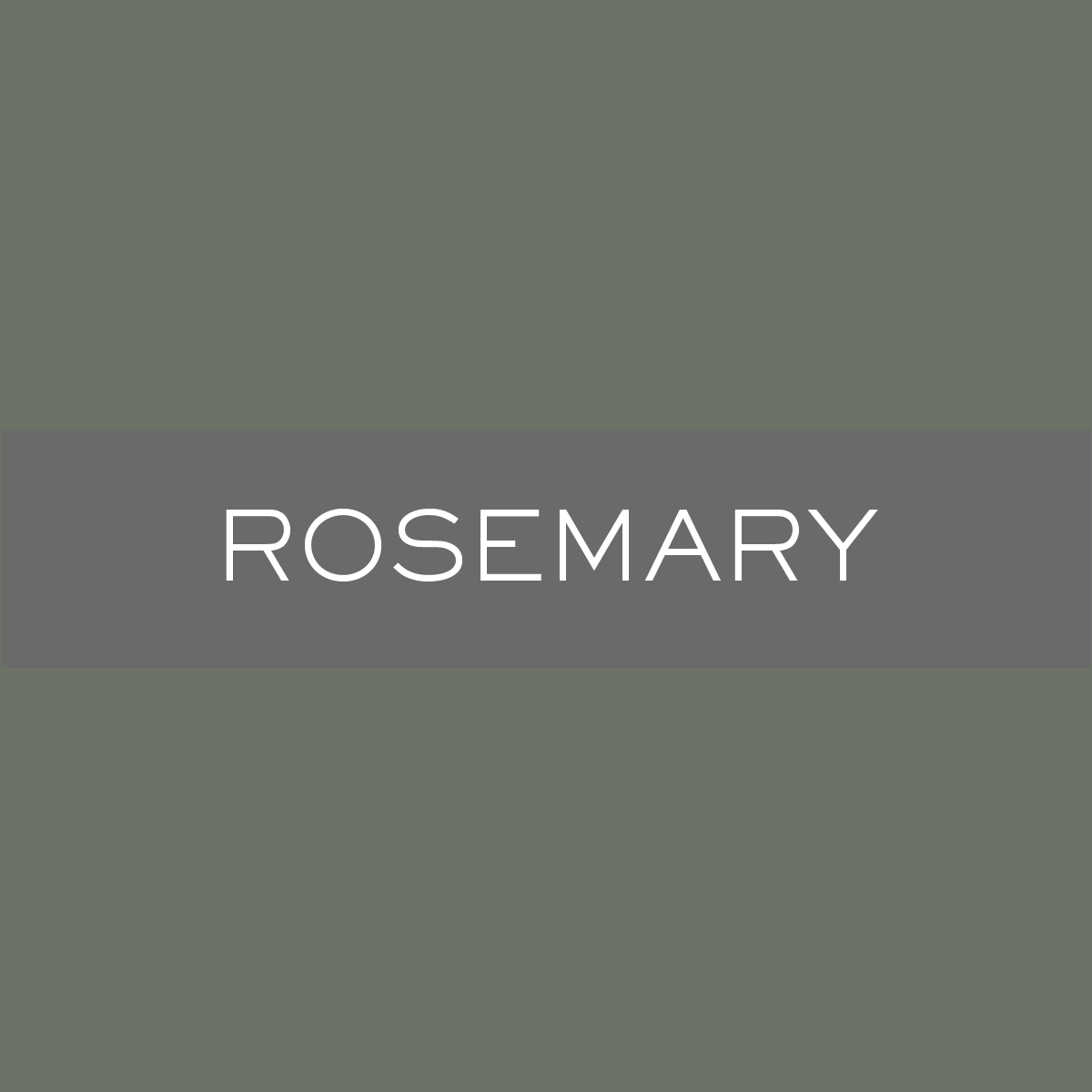 INK_Rosemary.png