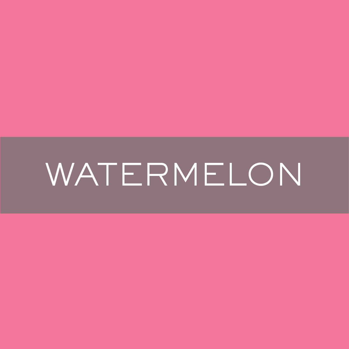 INK_Watermelon.png