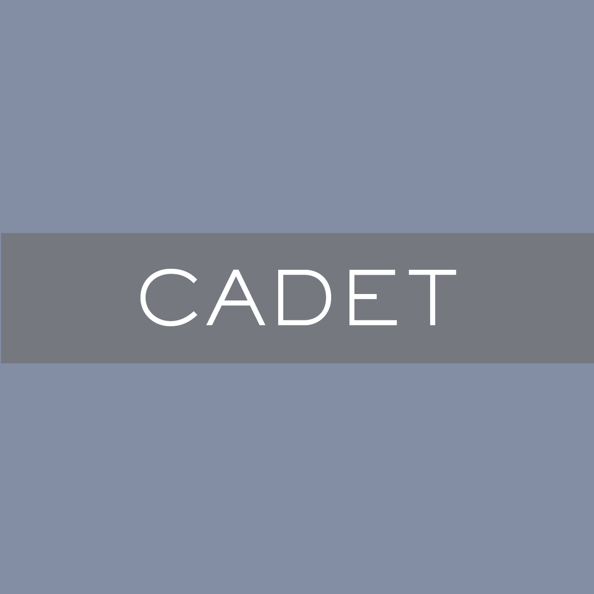 WNP_Cadet.png