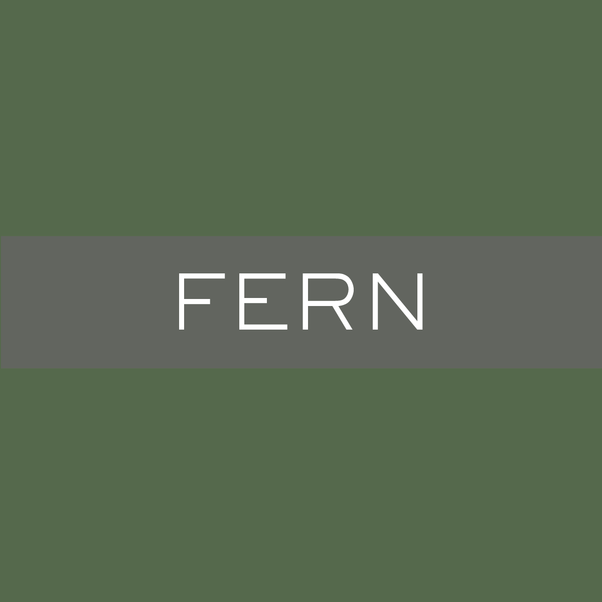 WNP_Fern.png