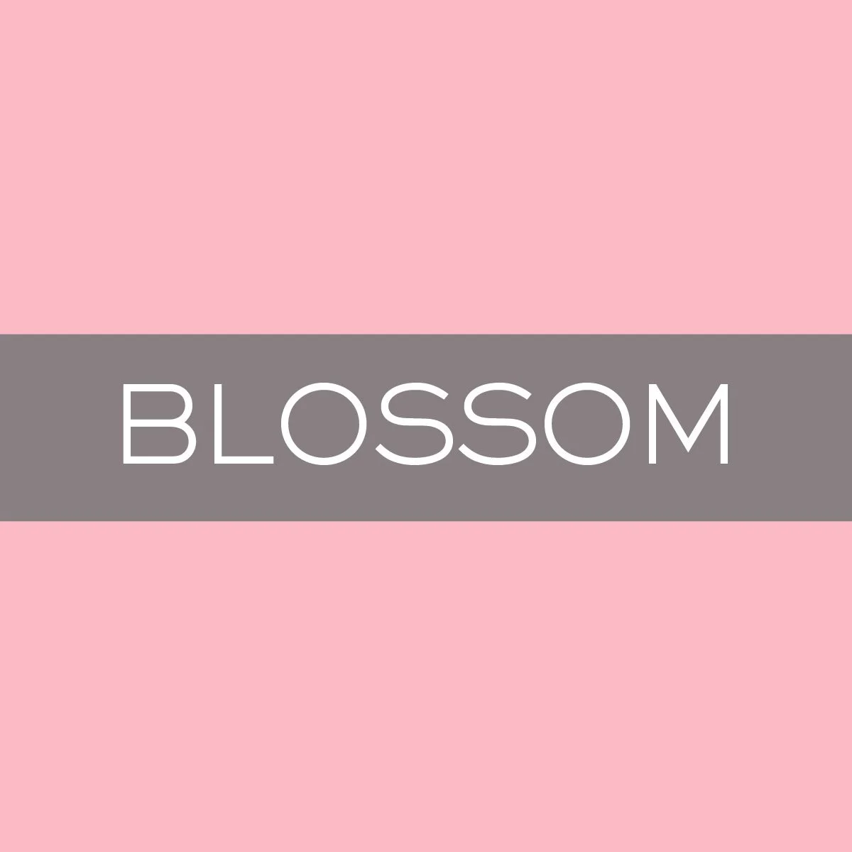 WNP_Blossom.jpg
