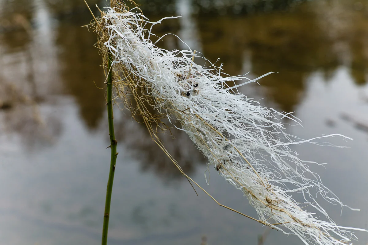 L1018017.jpg