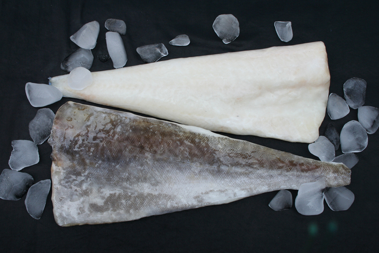 Atlantic Cod Pacific Cod 大西洋真鳕 太平洋真鳕 Ocean Fish Beijing