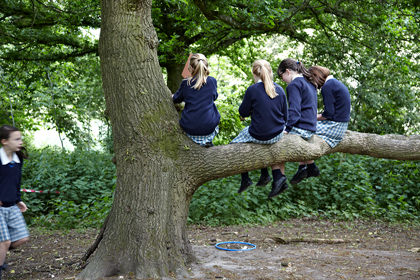   St. Marys School for Girls  Imagery for Colchester school prospectus and website   