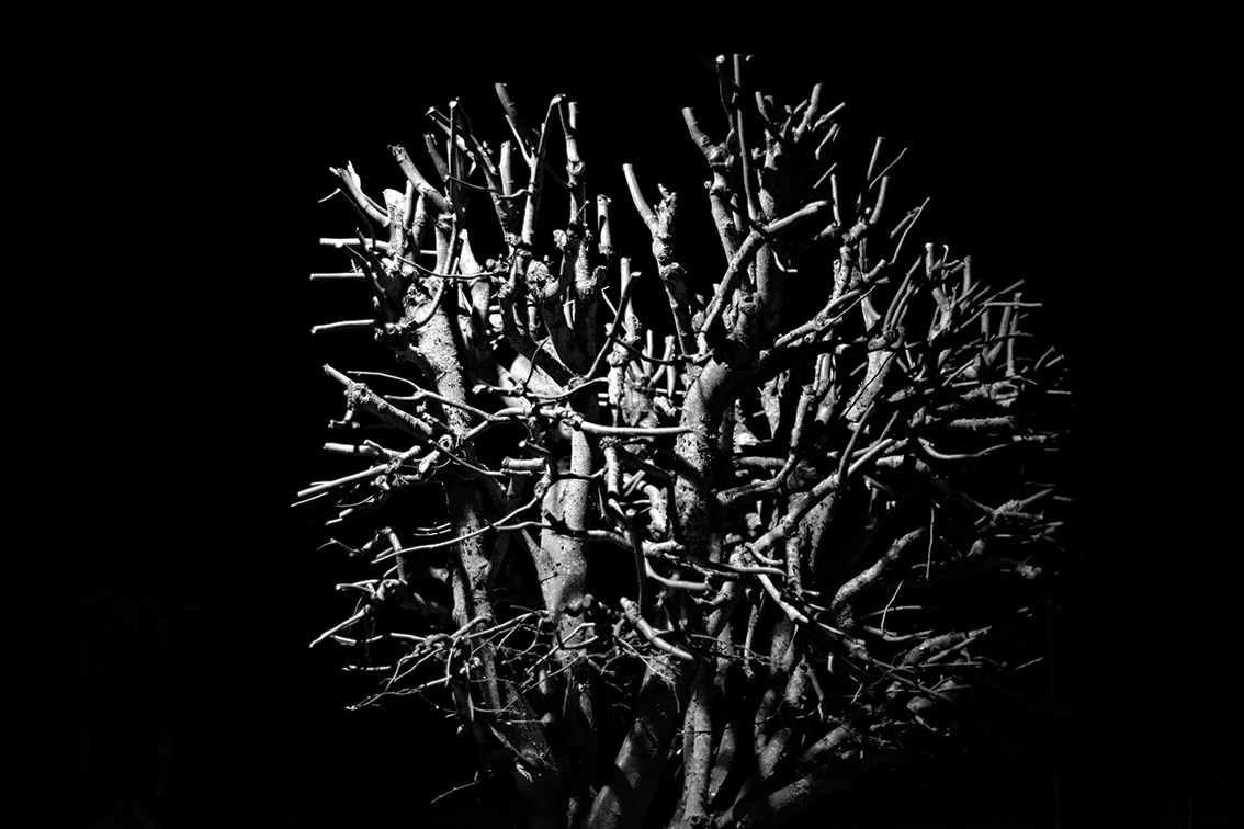 Parallel structures Observational study exploring naturally recurring structures. Click to see more in projects...