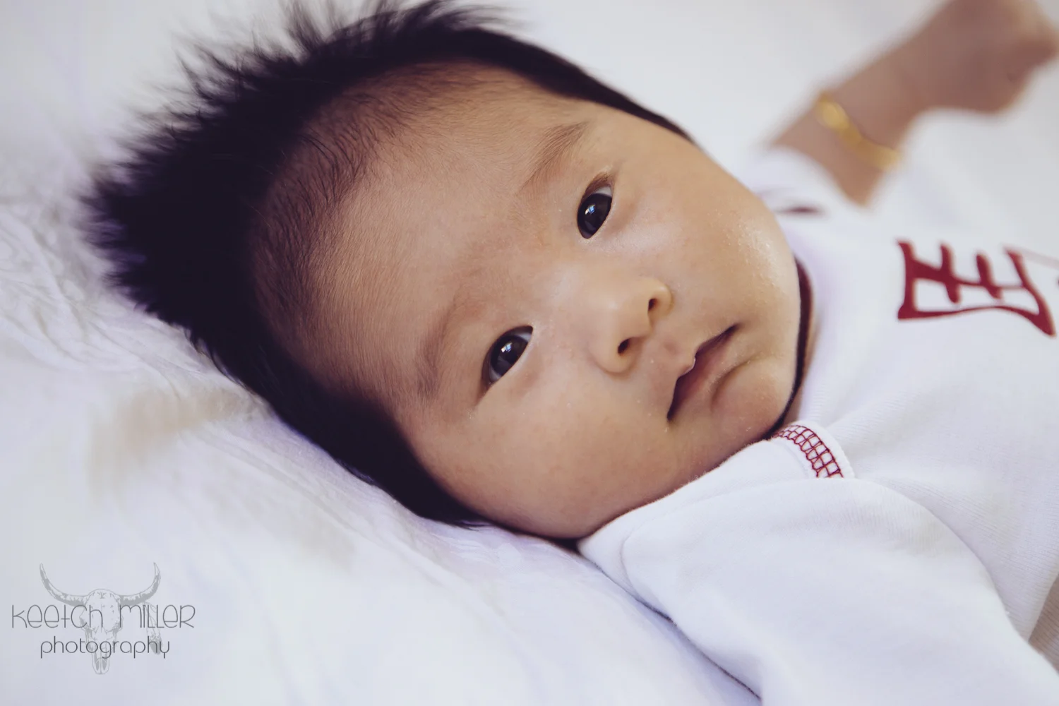 flushing_newborn_photographer.jpg