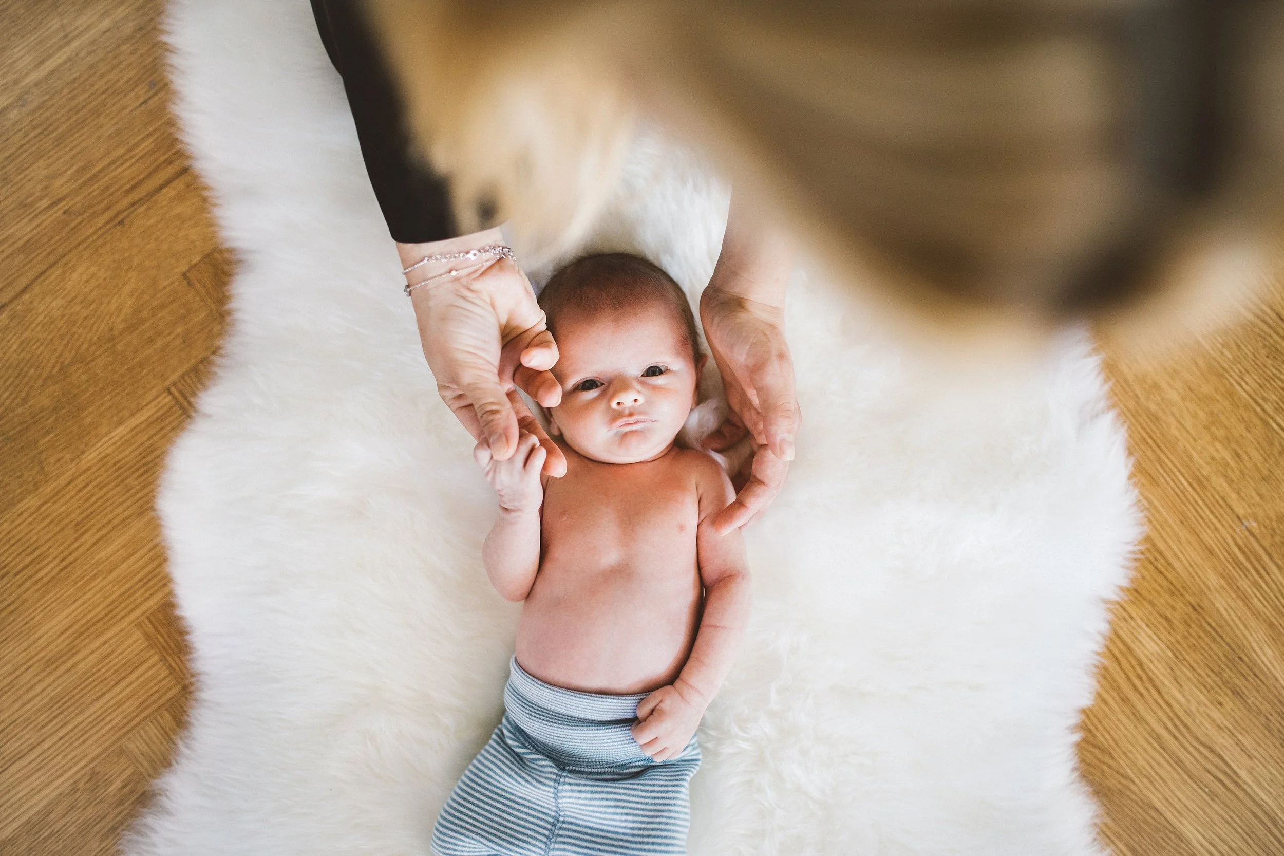 manhattan newborn photographer_0157.jpg