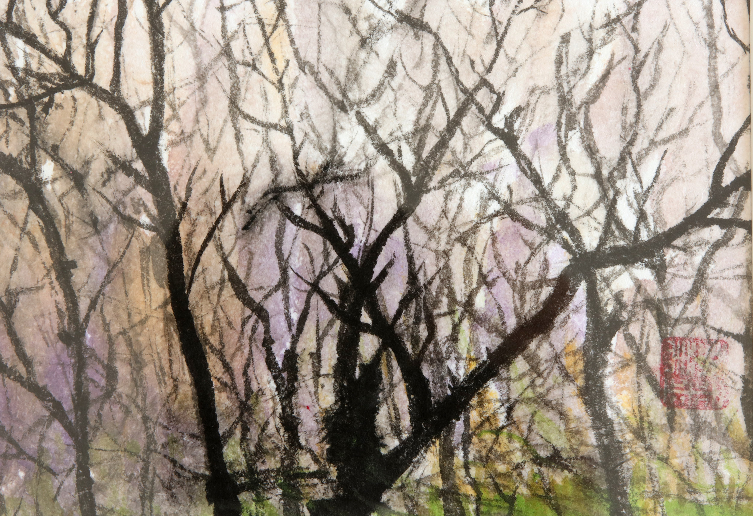Waking Woods of Beard's Creek