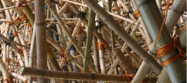 04.07.07_bambu.jpg