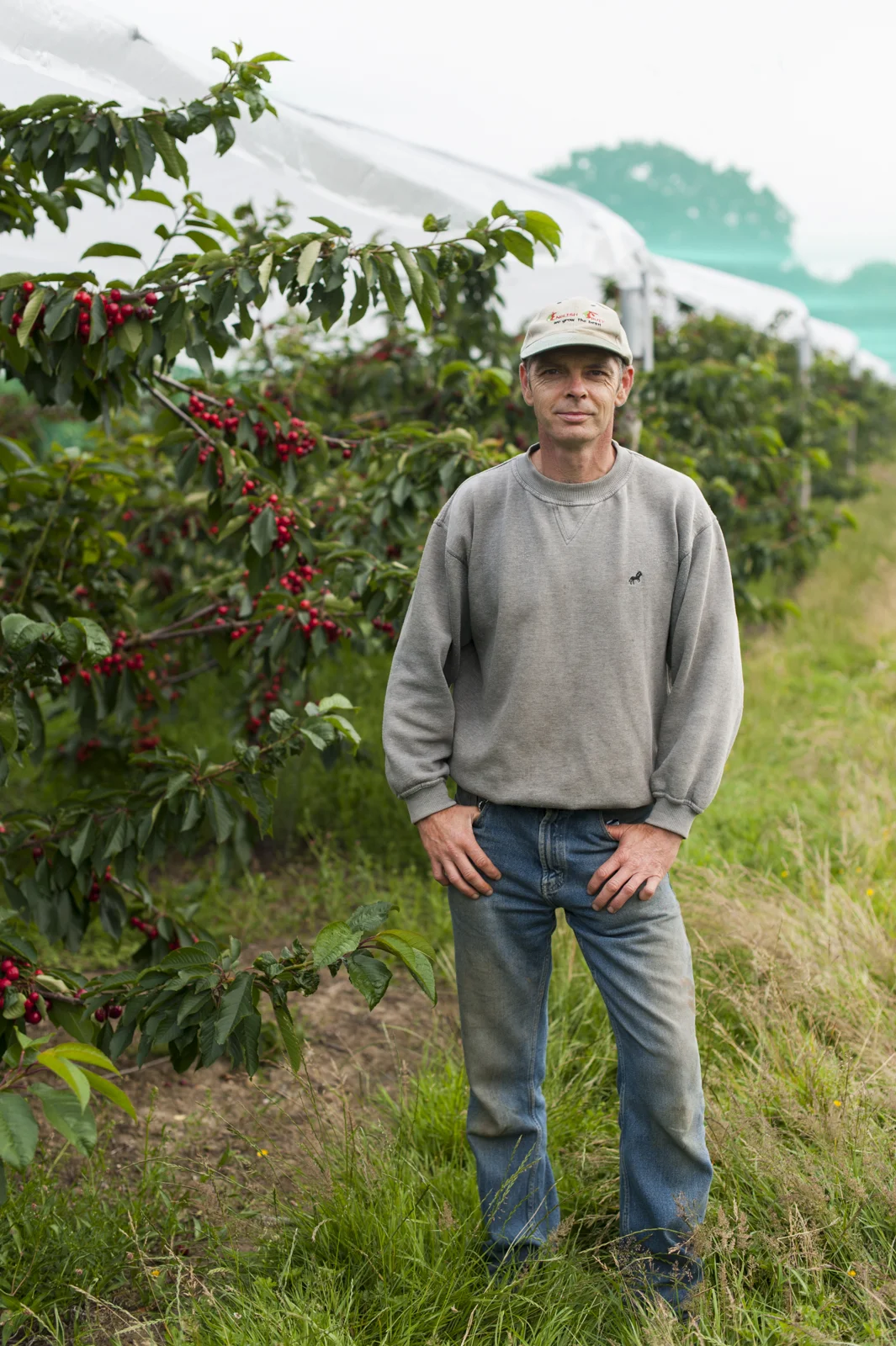 Cherry Farm Manager, Kent